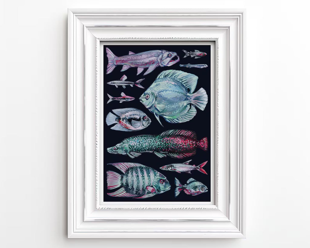 Framed artwork of various stylized fish illustrations on a dark background.