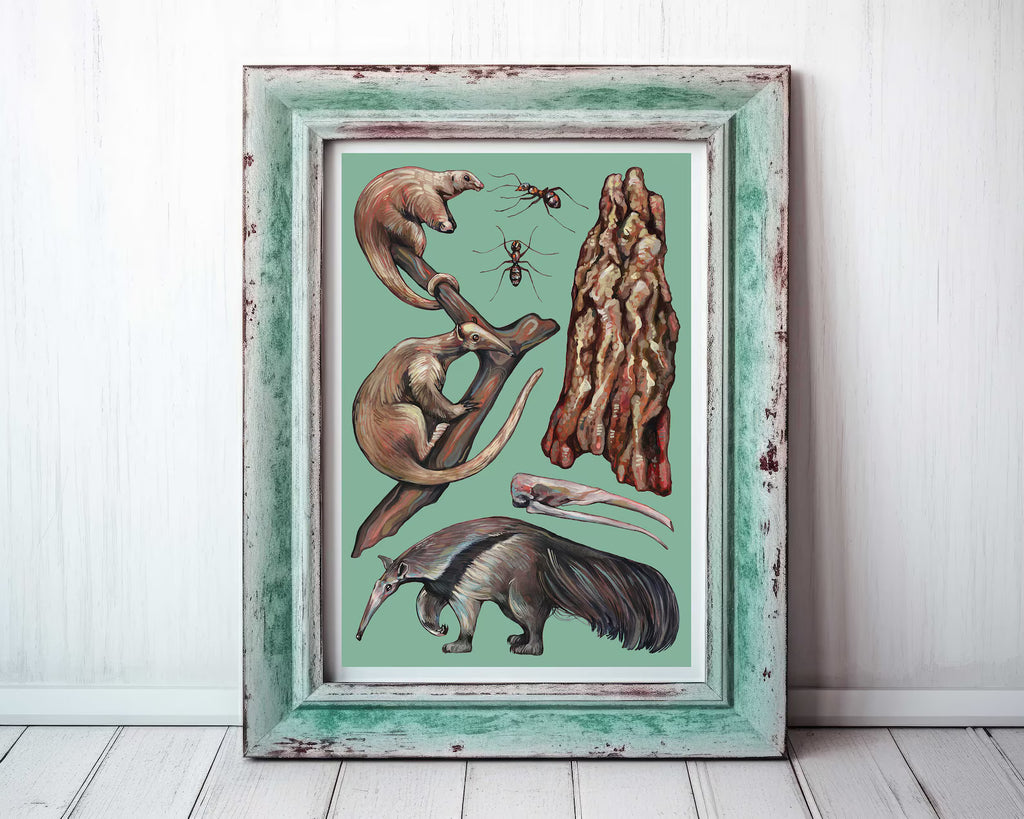 Framed artwork with illustrations of anteaters on a light green background