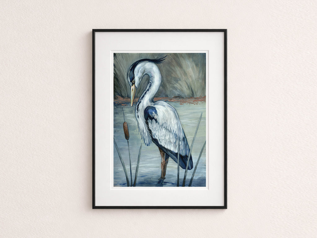 Grey Heron , British Birds Illustration, A3 Print