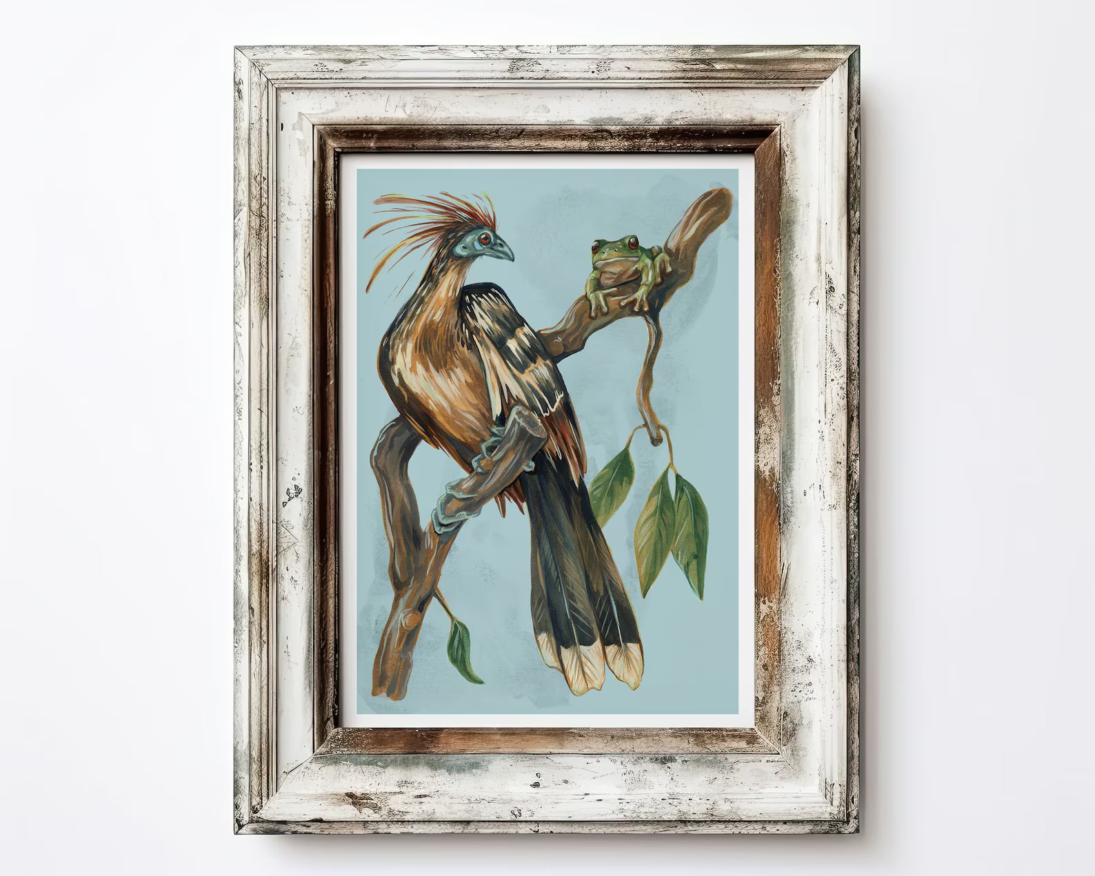 Hoatzin Mangrove Illustration, Skunk Bird Tree Frog Painting, Pastel Blue Beige Wall Art, Acrylic Gouache, A4 Print