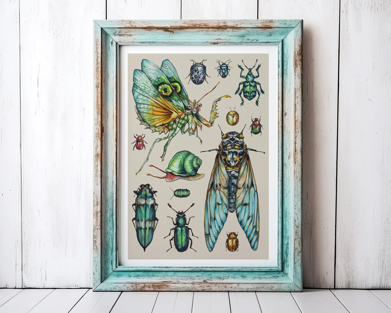 Framed artwork of various insects on a wooden surface