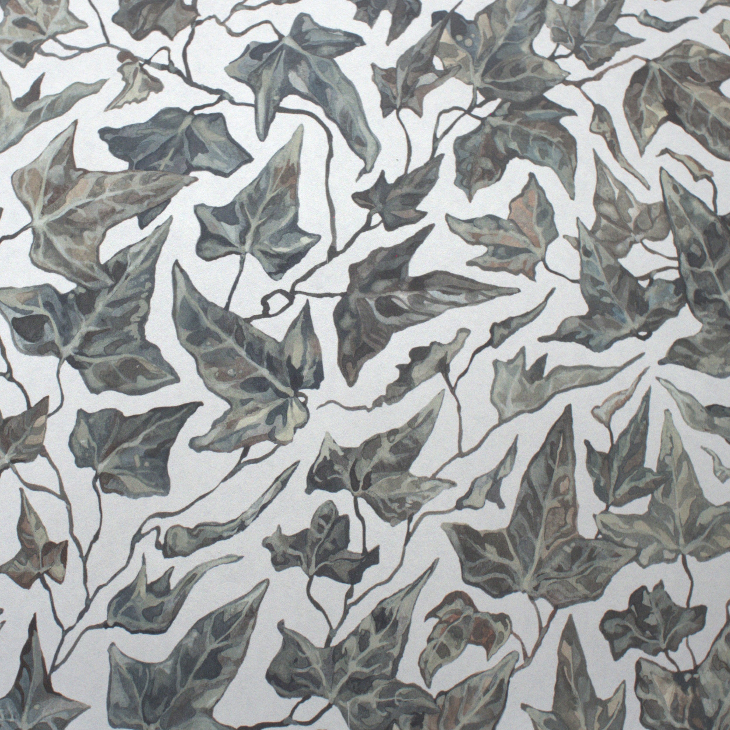 Close up of wallpaper featuring an ivy motif on a white background.