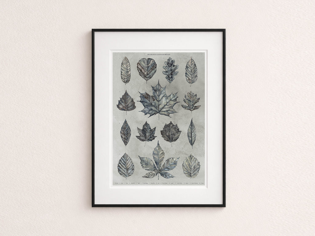British Botanical Art Print, Leaves of Britain Natural History Wall Art, A3 Print