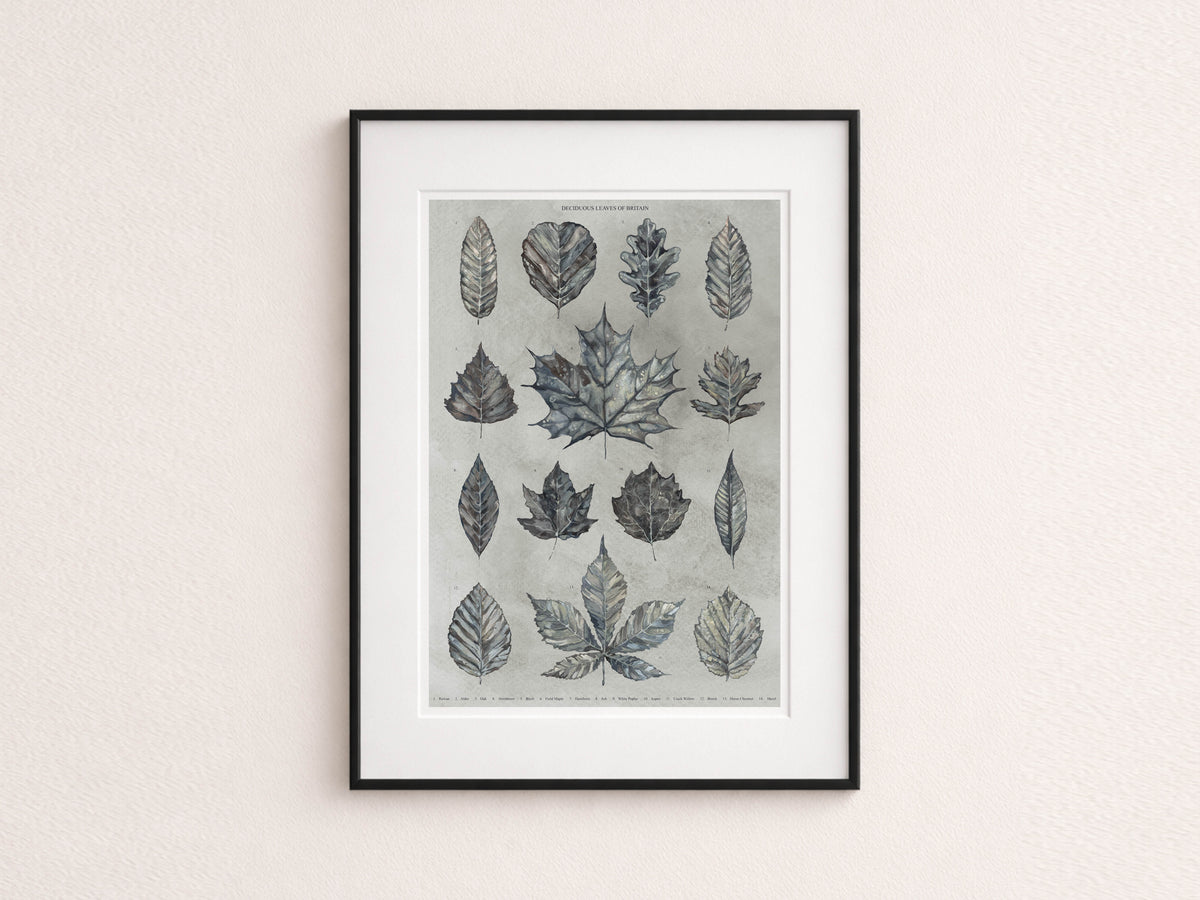 British Botanical Art Print, Leaves of Britain Natural History Wall Art, A3 Print