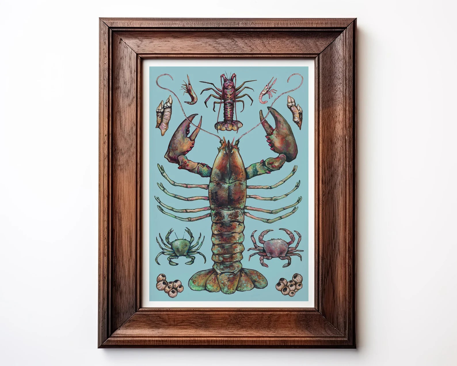 Framed artwork of a colorful lobster on a light blue background