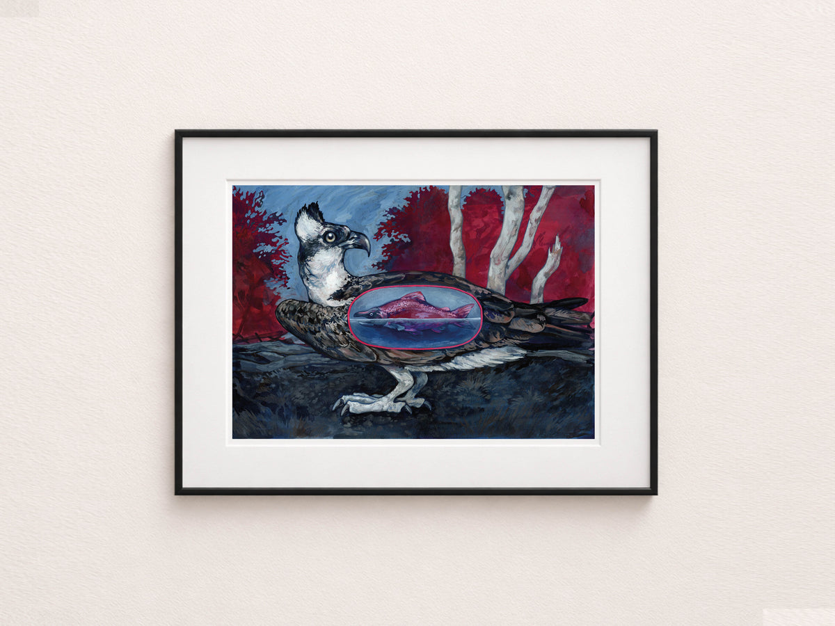 Osprey & Salmon Illustration, Bird of Prey Artwork, A3 Print