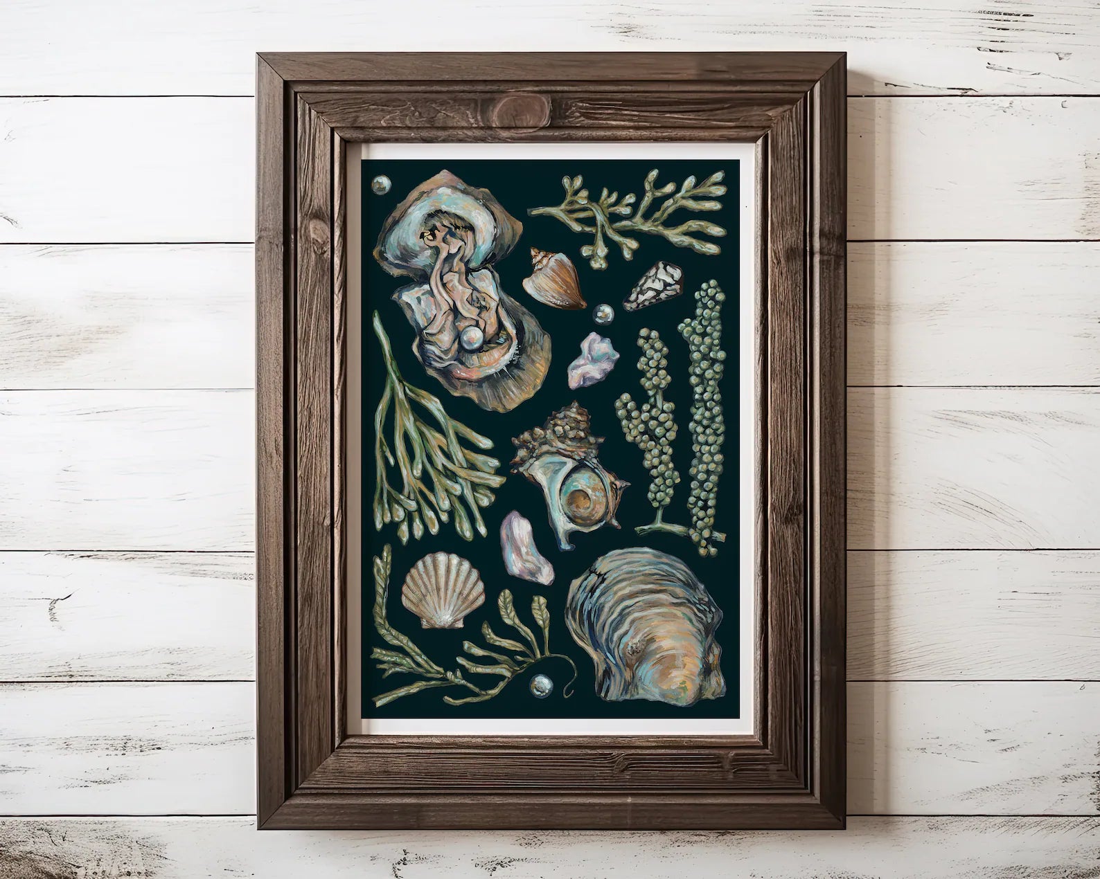 Framed artwork of shells and seaweed on a wooden wall