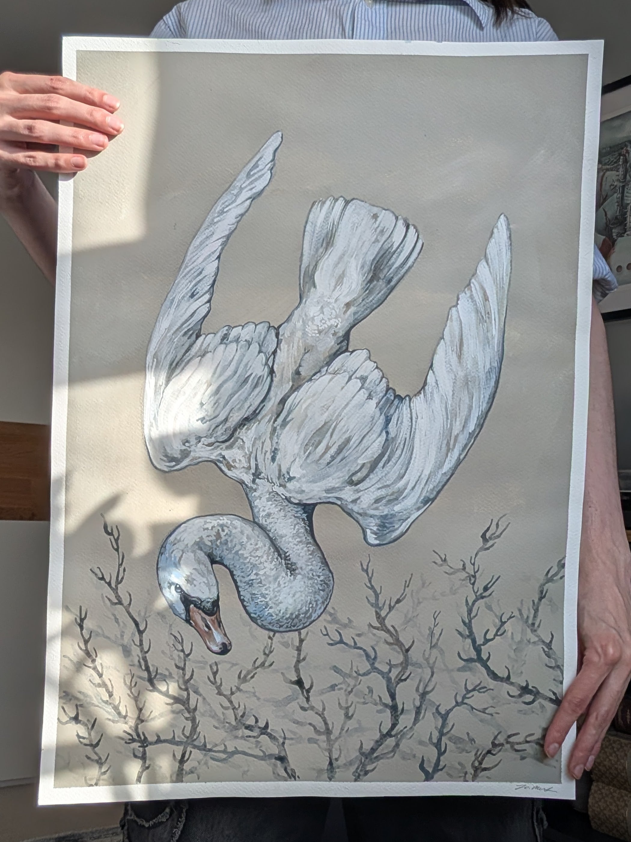 Original Painting Swan Song II, Flying Mute White Swan, Romantic Gothic Wall Art, A2 Illustration