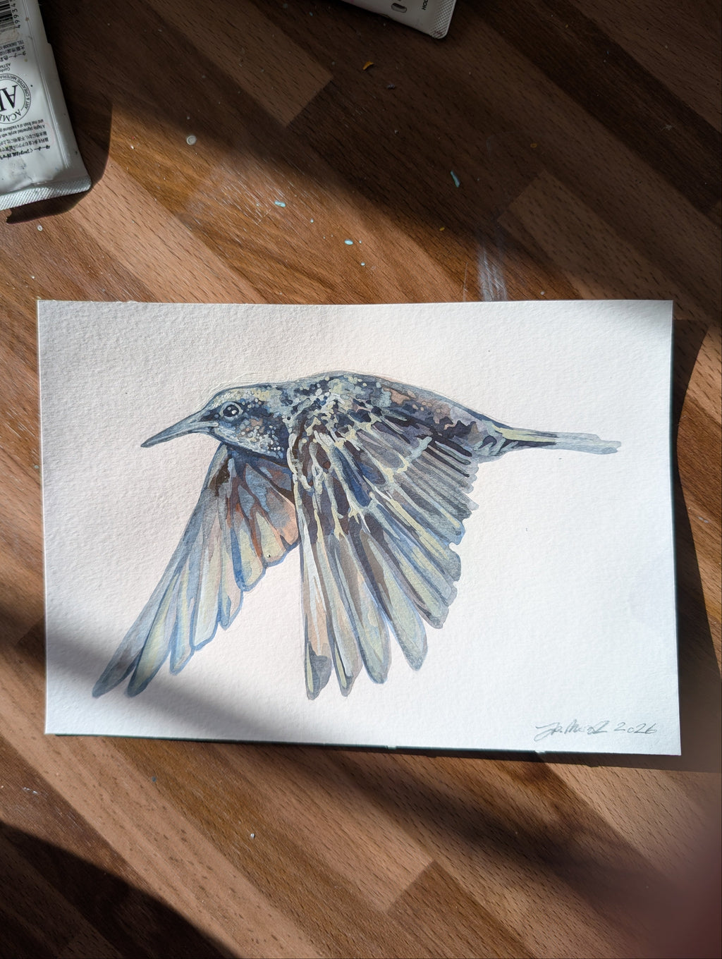 Watercolor painting of a bird on a wooden surface with paint tubes.