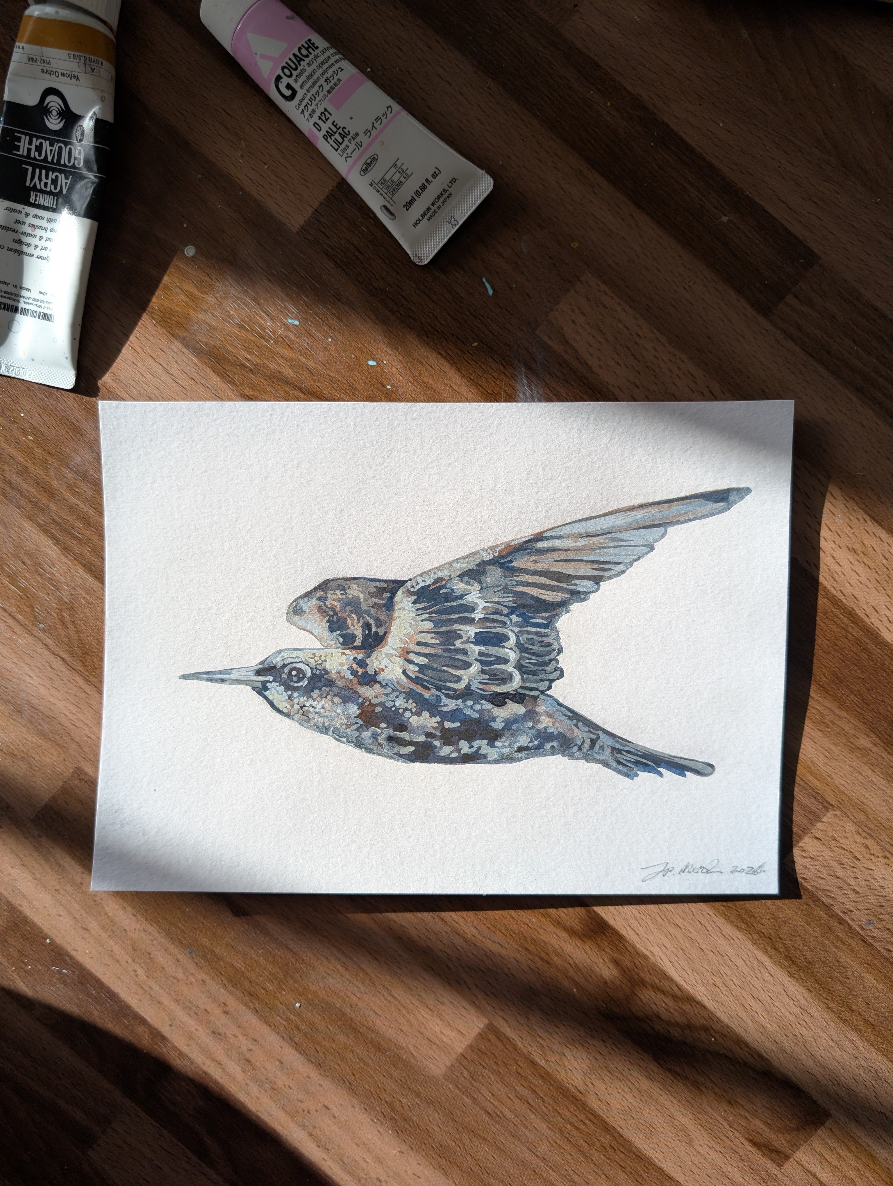 Original Painting Starling II, British Birds Artwork, Acrylic Gouache A5 Illustration