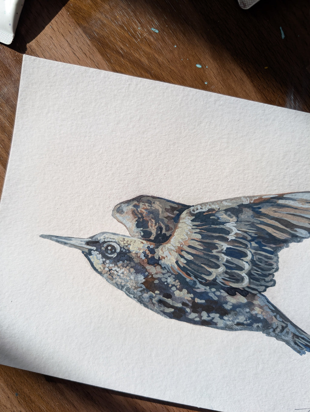 Original Painting Starling II, British Birds Artwork, Acrylic Gouache A5 Illustration