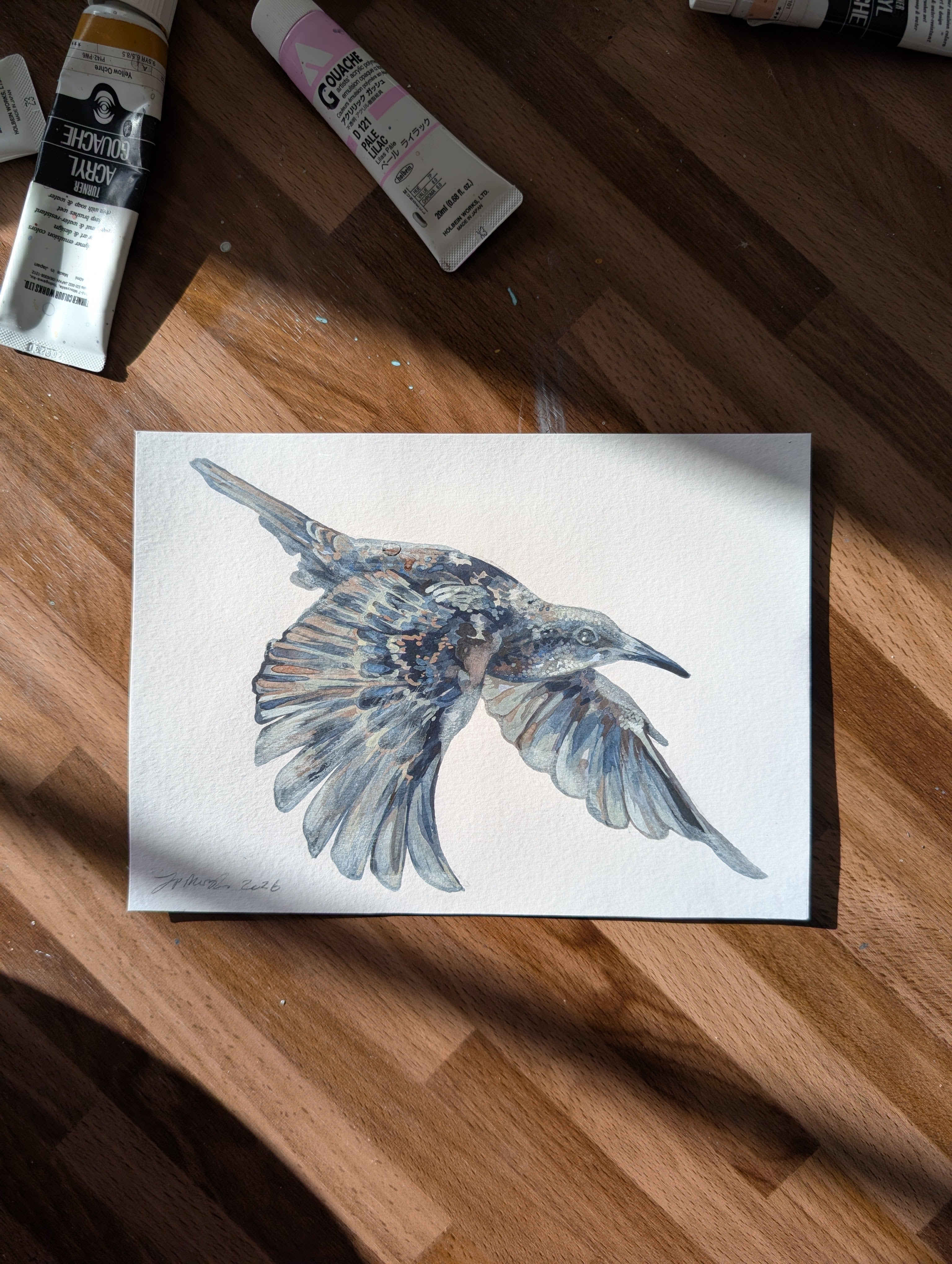 Original Painting Starling I, British Birds Artwork, Acrylic Gouache A5 Illustration