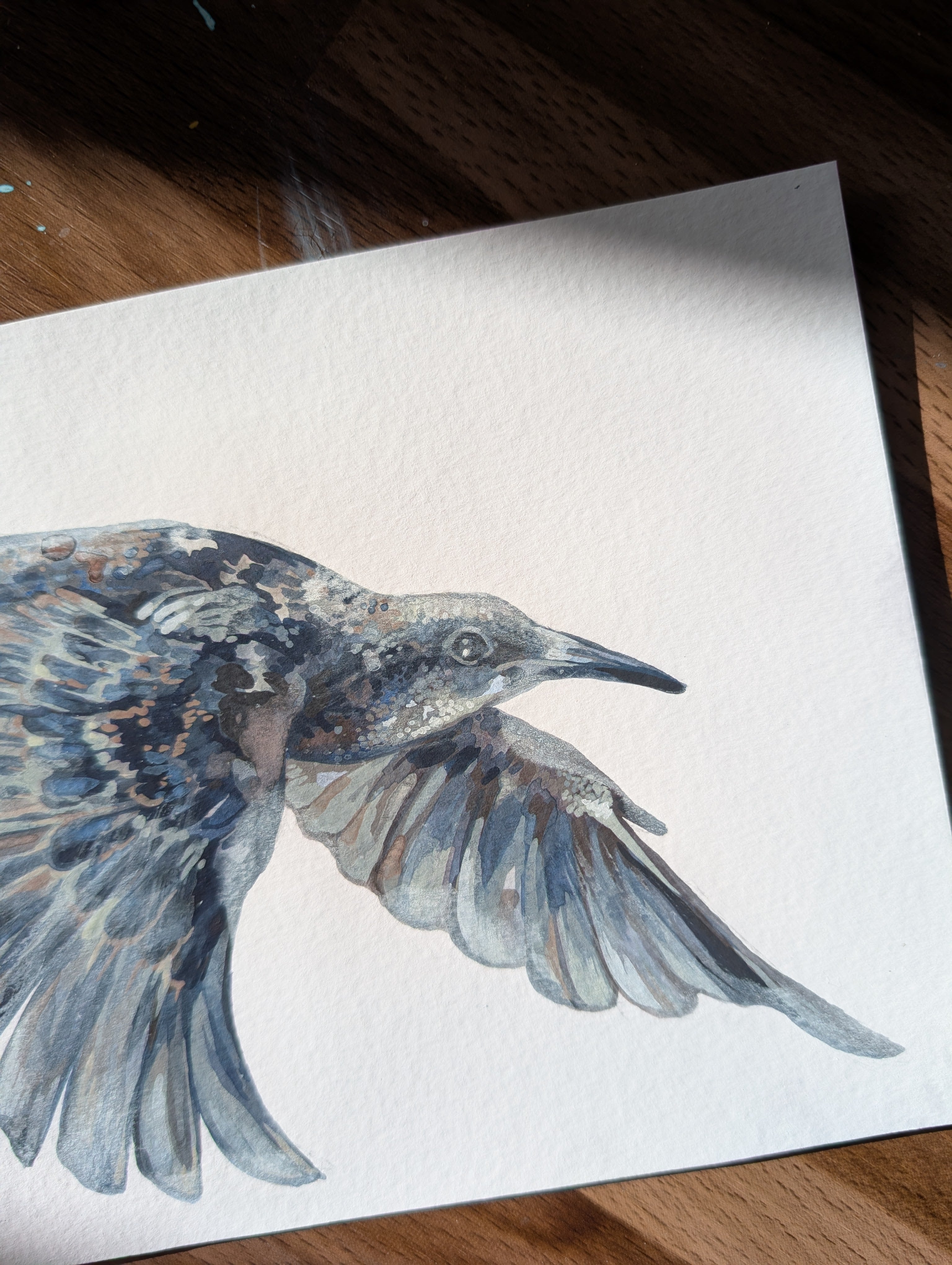 Original Painting Starling I, British Birds Artwork, Acrylic Gouache A5 Illustration