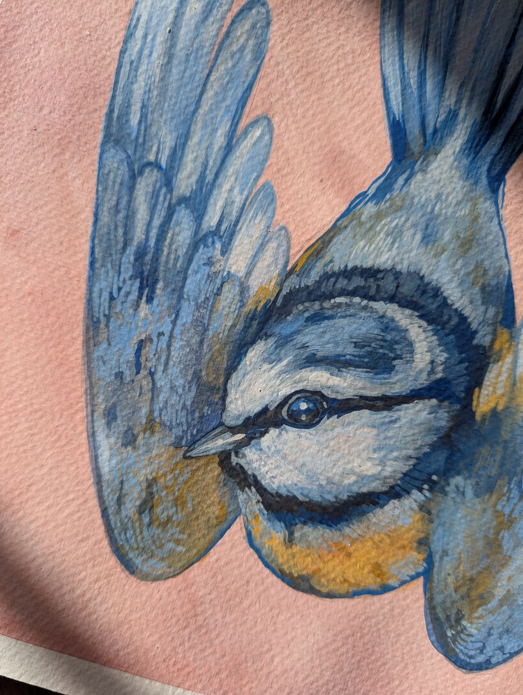 Original Painting Blue Tit, British Birds Artwork, Pastel Nature Wall Art, 11.5x11.5 Illustration