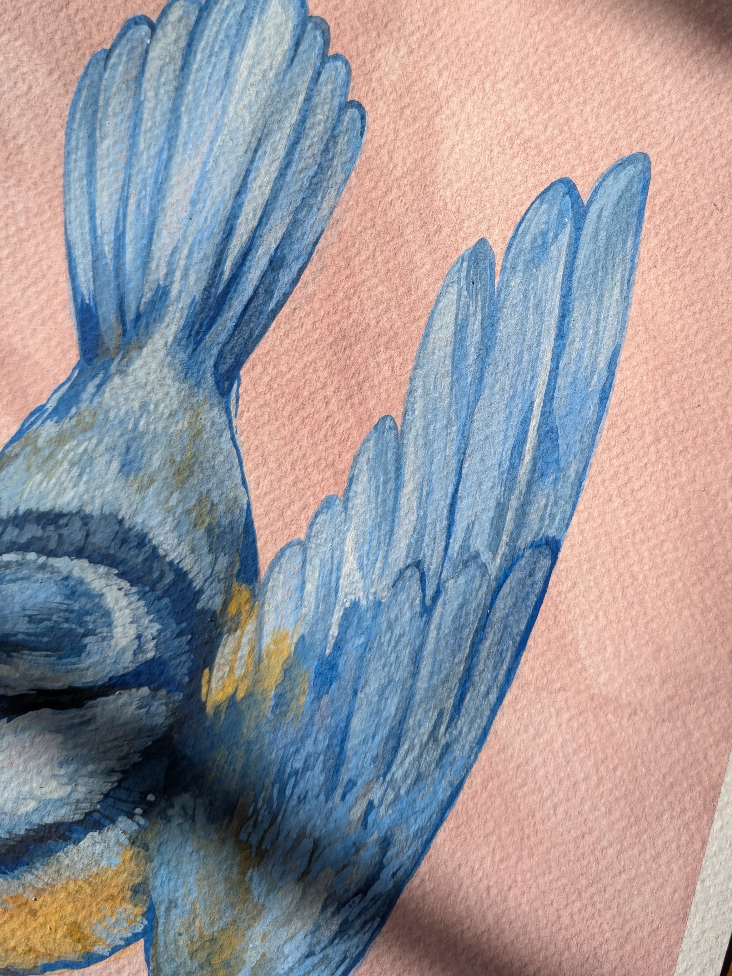 Original Painting Blue Tit, British Birds Artwork, Pastel Nature Wall Art, 11.5x11.5 Illustration