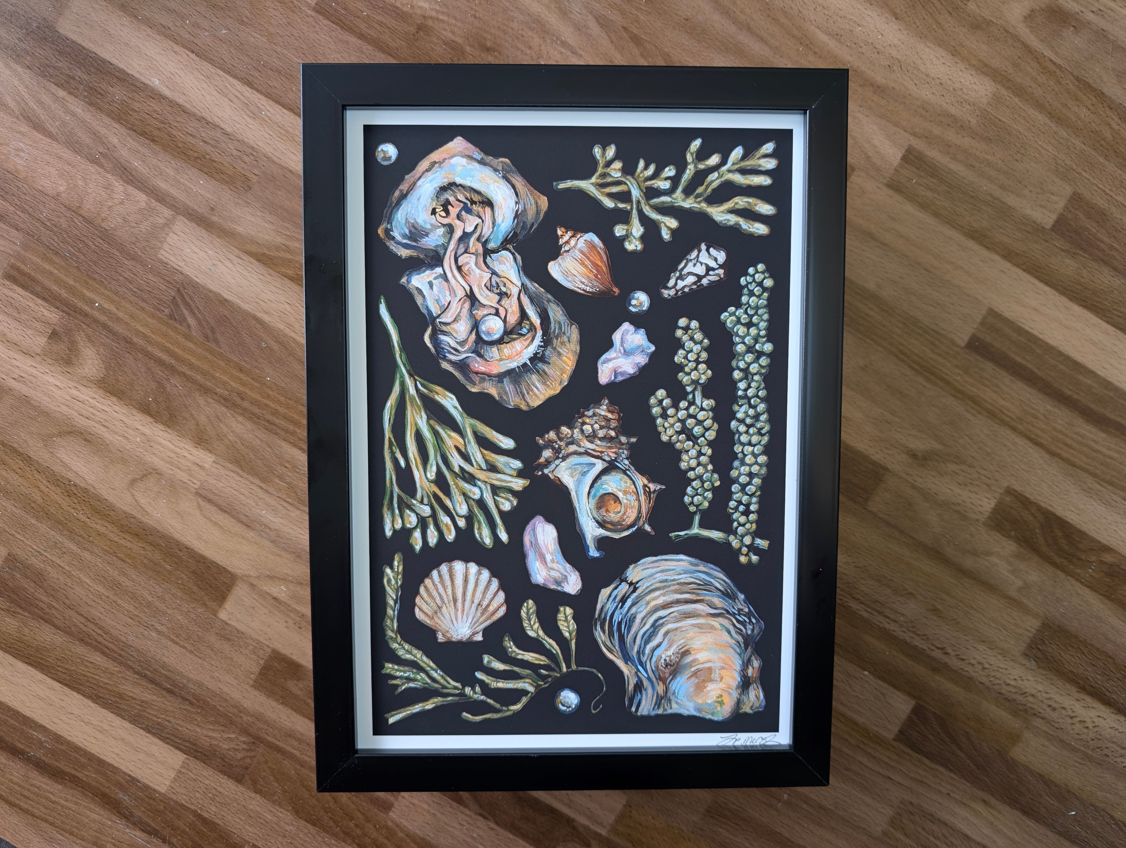 Akoya Oyster Pearl Seafood Illustration, Seaweed Mollusc Shell Painting, Coastal Ocean Picture, Gouache, A4 Print