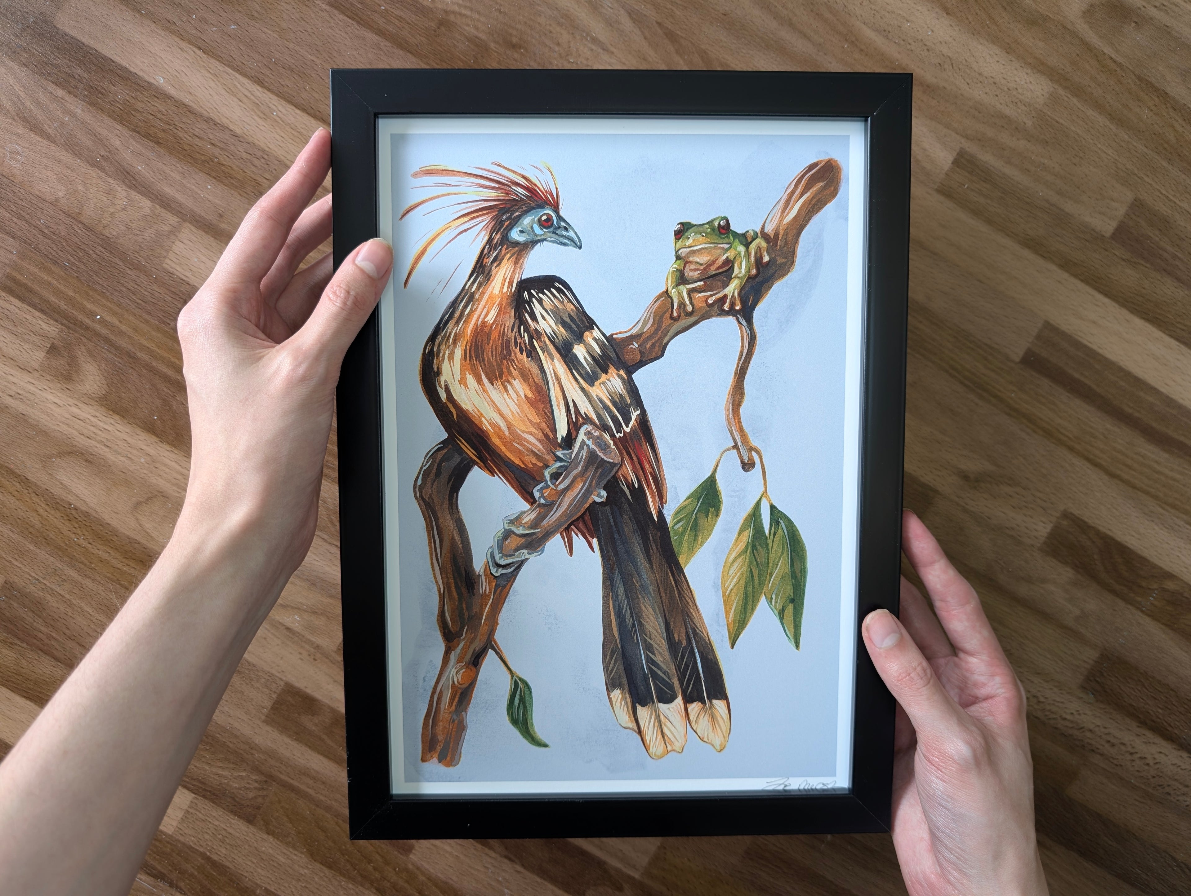 Hoatzin Mangrove Illustration, Skunk Bird Tree Frog Painting, Pastel Blue Beige Wall Art, Acrylic Gouache, A4 Print
