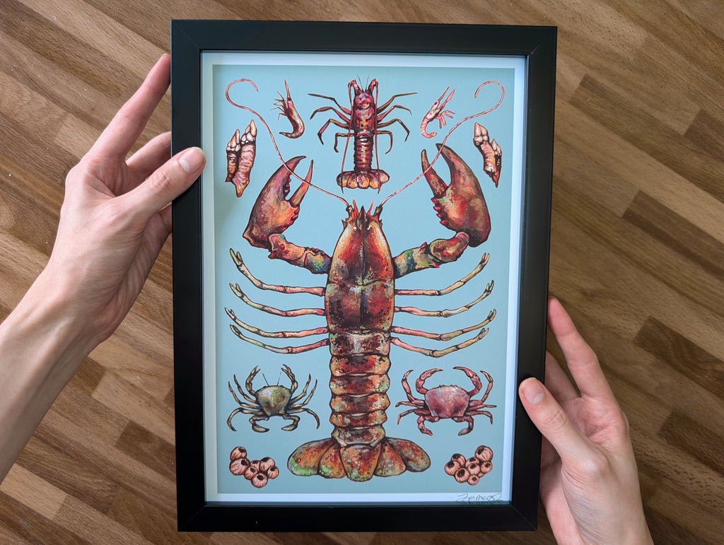British Crustaceans Illustration, UK Lobster Crab Shrimp Seafood Painting, Coastal Seaside Décor, A4 Print