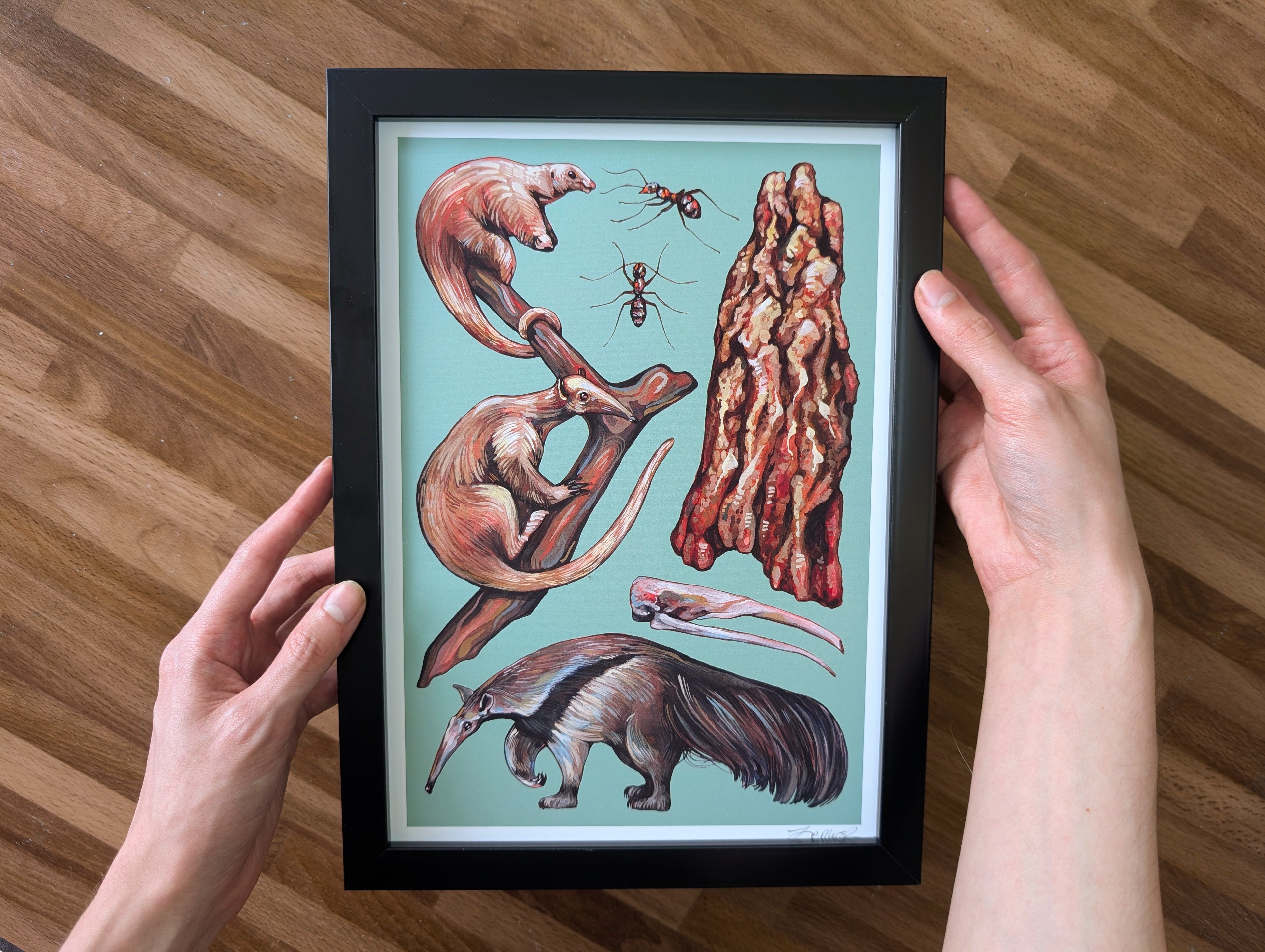 Anteater Species Illustration, Tamandua Silky Anteater Painting, Green Wildlife Nature Picture, Acrylic Gouache, A4 Print