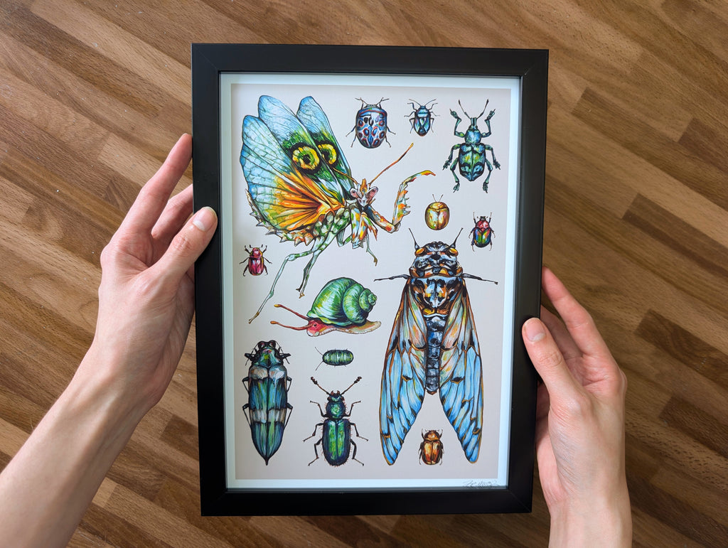Entomology Insect Illustration, Cute Bug Beetle Mantis Painting, Weirdcore Pastel Wall Art, Acrylic Gouache, A4 Print