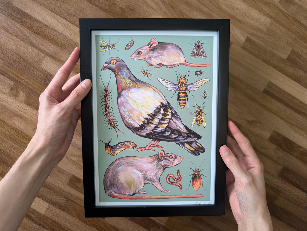 Vermin Illustration, Pigeon Artwork, Rat Mouse Insect Painting, Goblincore Art, Household Pest Home Décor, A4 Print