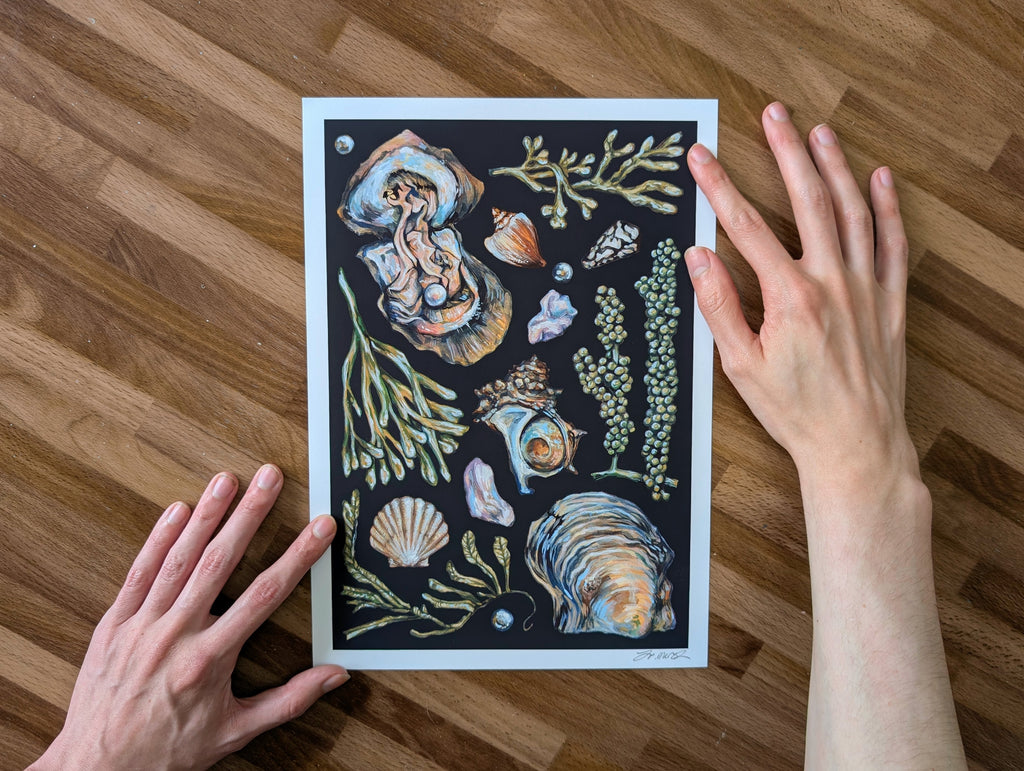 Akoya Oyster Pearl Seafood Illustration, Seaweed Mollusc Shell Painting, Coastal Ocean Picture, Gouache, A4 Print