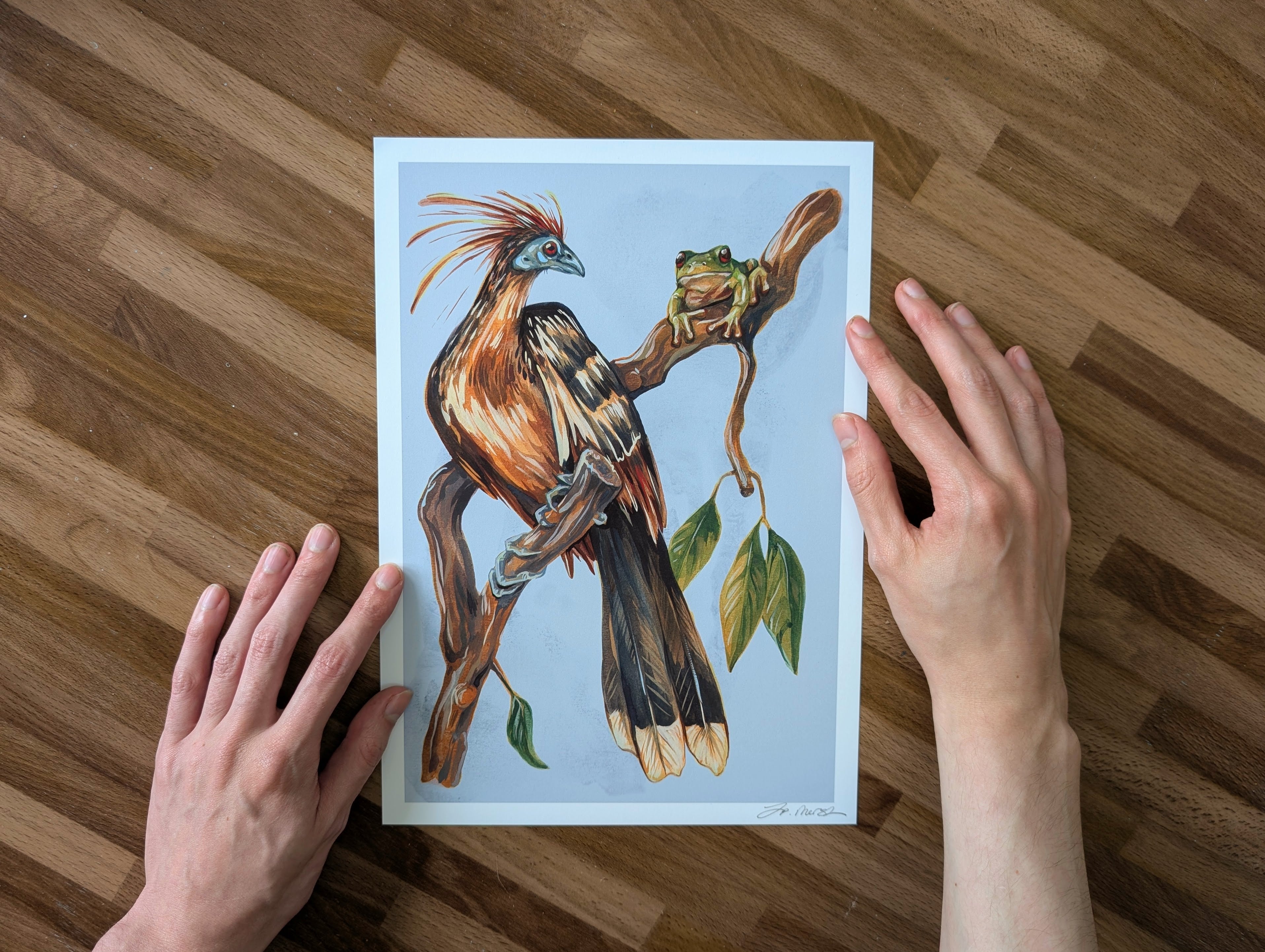 Hoatzin Mangrove Illustration, Skunk Bird Tree Frog Painting, Pastel Blue Beige Wall Art, Acrylic Gouache, A4 Print