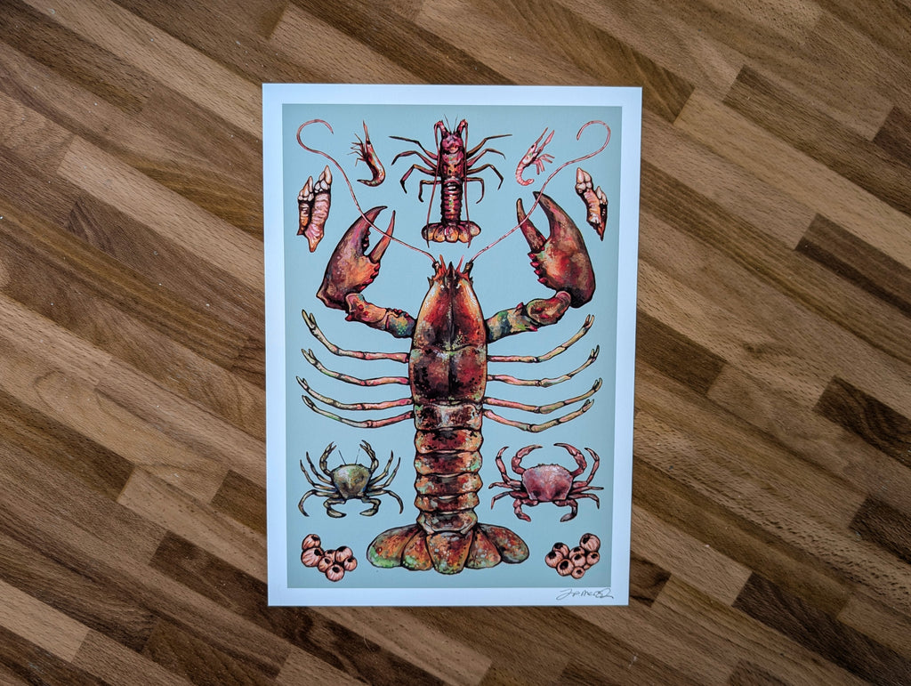 British Crustaceans Illustration, UK Lobster Crab Shrimp Seafood Painting, Coastal Seaside Décor, A4 Print