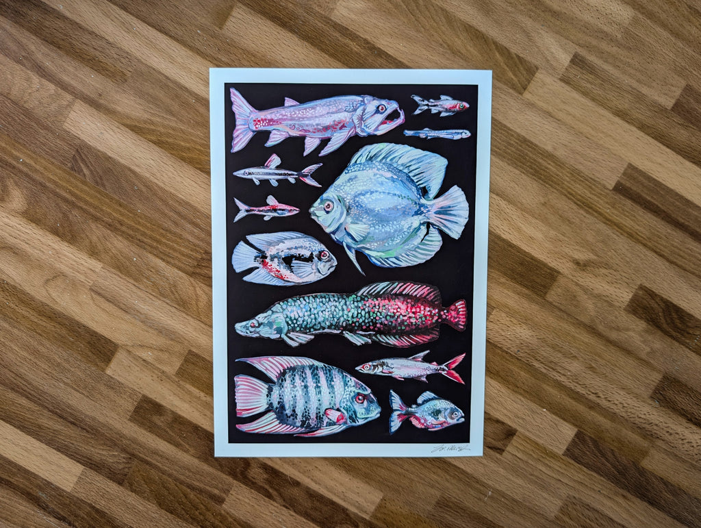 Amazon River Fish Illustration, Blue Aquatic Wildlife Wall Art, South American Amazonian Animals, A4 Print