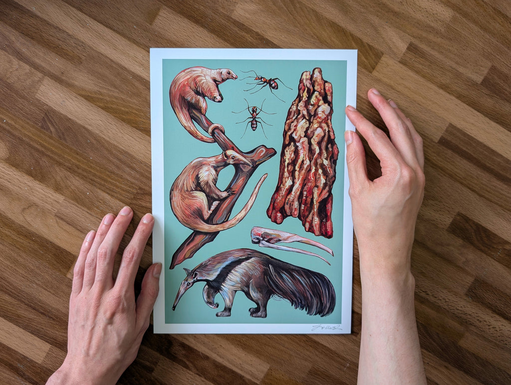 Anteater Species Illustration, Tamandua Silky Anteater Painting, Green Wildlife Nature Picture, Acrylic Gouache, A4 Print