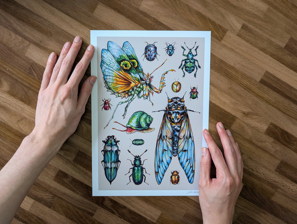 Entomology Insect Illustration, Cute Bug Beetle Mantis Painting, Weirdcore Pastel Wall Art, Acrylic Gouache, A4 Print