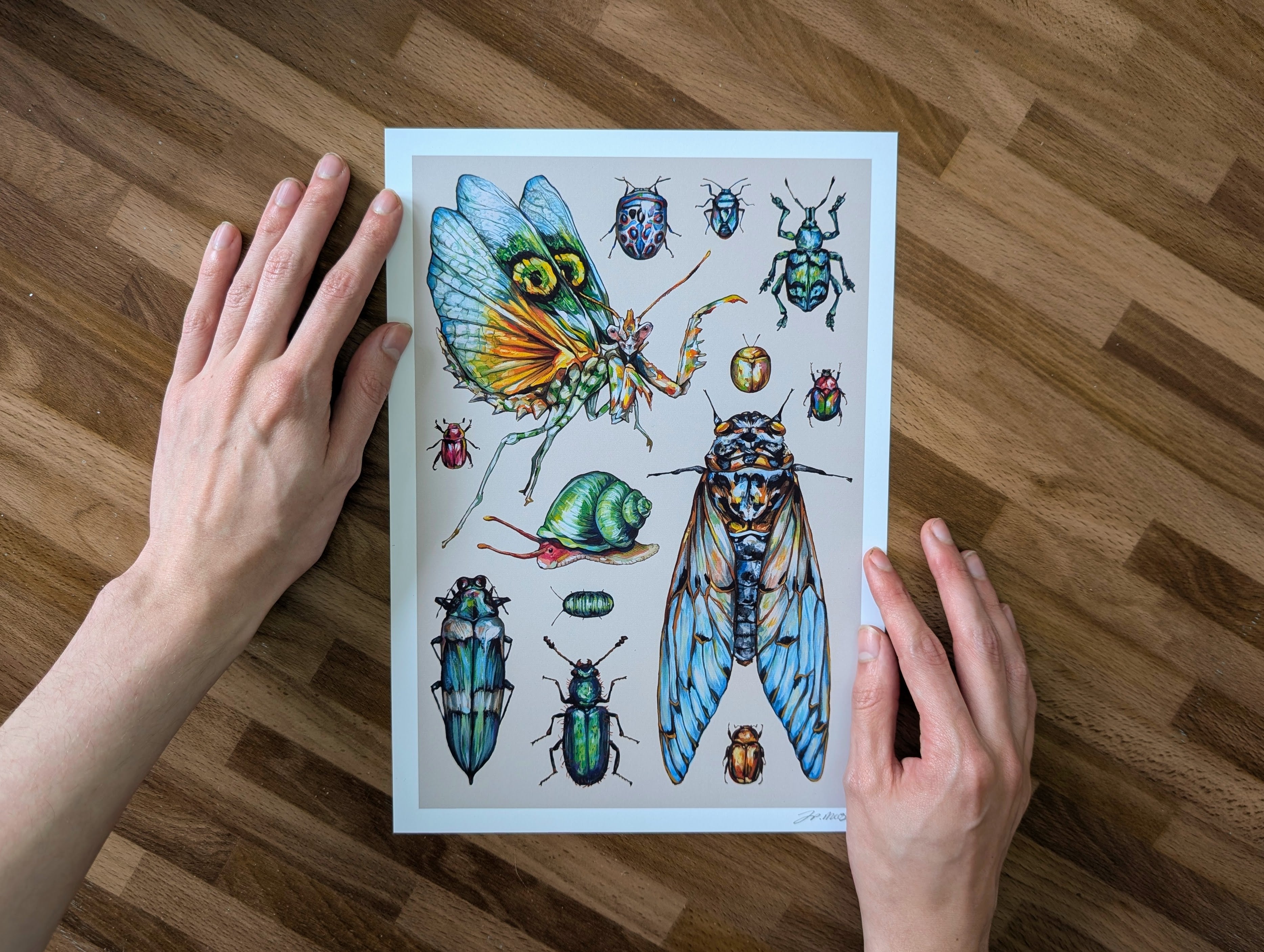Entomology Insect Illustration, Cute Bug Beetle Mantis Painting, Weirdcore Pastel Wall Art, Acrylic Gouache, A4 Print