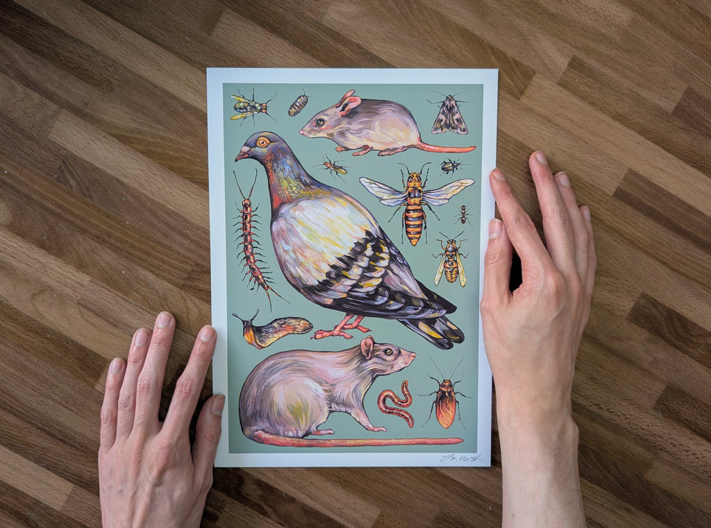 Vermin Illustration, Pigeon Artwork, Rat Mouse Insect Painting, Goblincore Art, Household Pest Home Décor, A4 Print