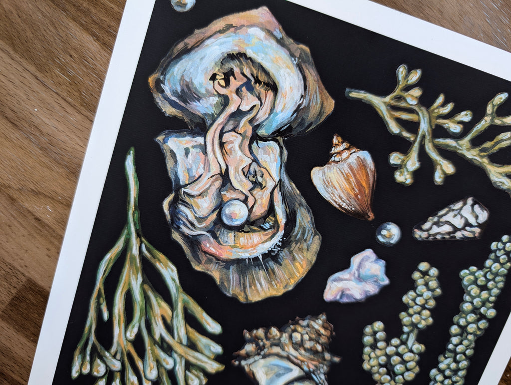 Akoya Oyster Pearl Seafood Illustration, Seaweed Mollusc Shell Painting, Coastal Ocean Picture, Gouache, A4 Print