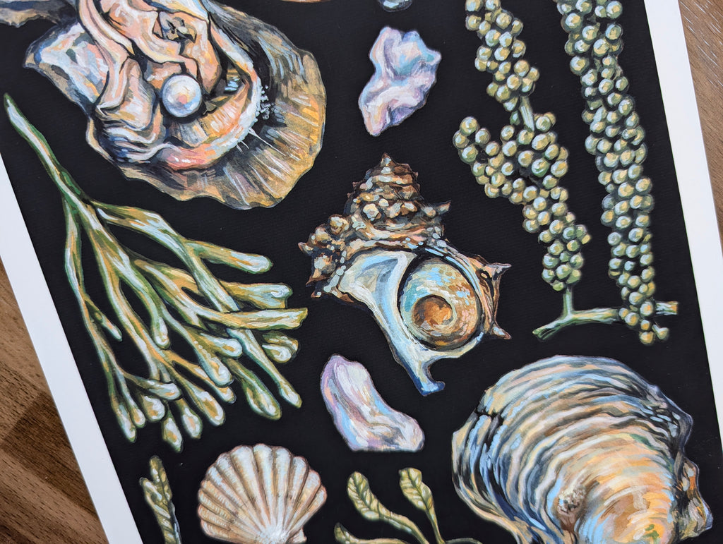 Akoya Oyster Pearl Seafood Illustration, Seaweed Mollusc Shell Painting, Coastal Ocean Picture, Gouache, A4 Print