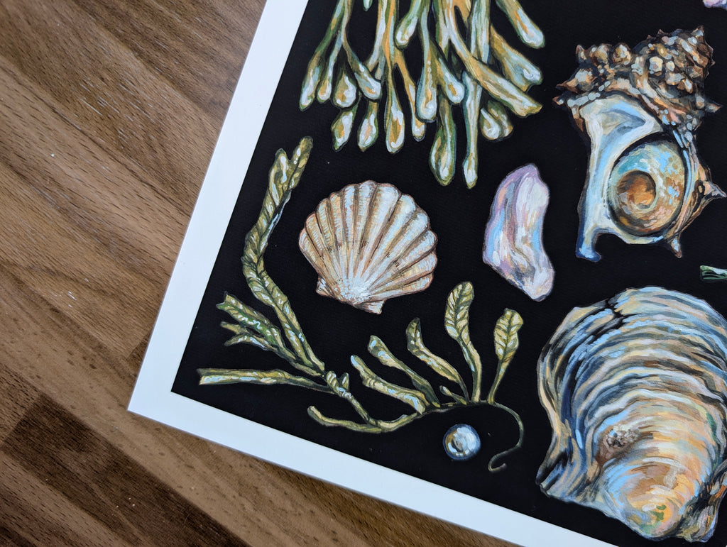 Akoya Oyster Pearl Seafood Illustration, Seaweed Mollusc Shell Painting, Coastal Ocean Picture, Gouache, A4 Print