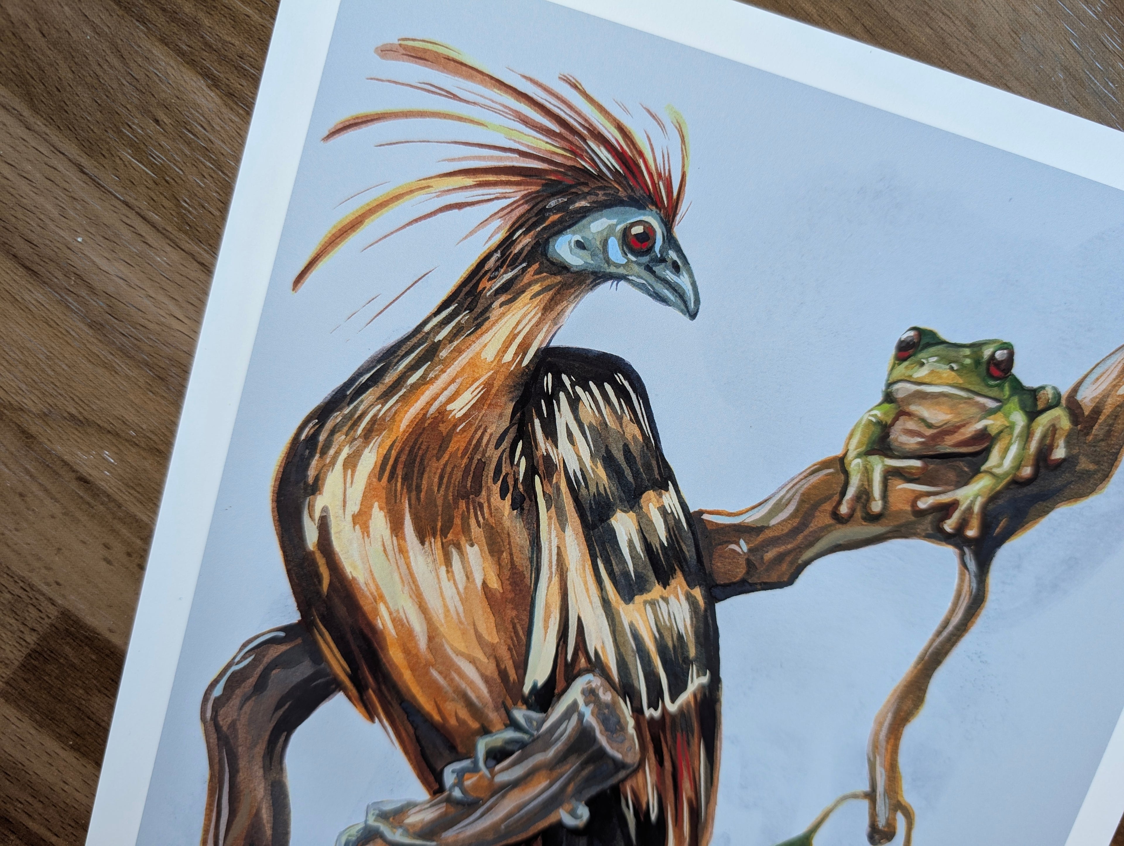 Hoatzin Mangrove Illustration, Skunk Bird Tree Frog Painting, Pastel Blue Beige Wall Art, Acrylic Gouache, A4 Print