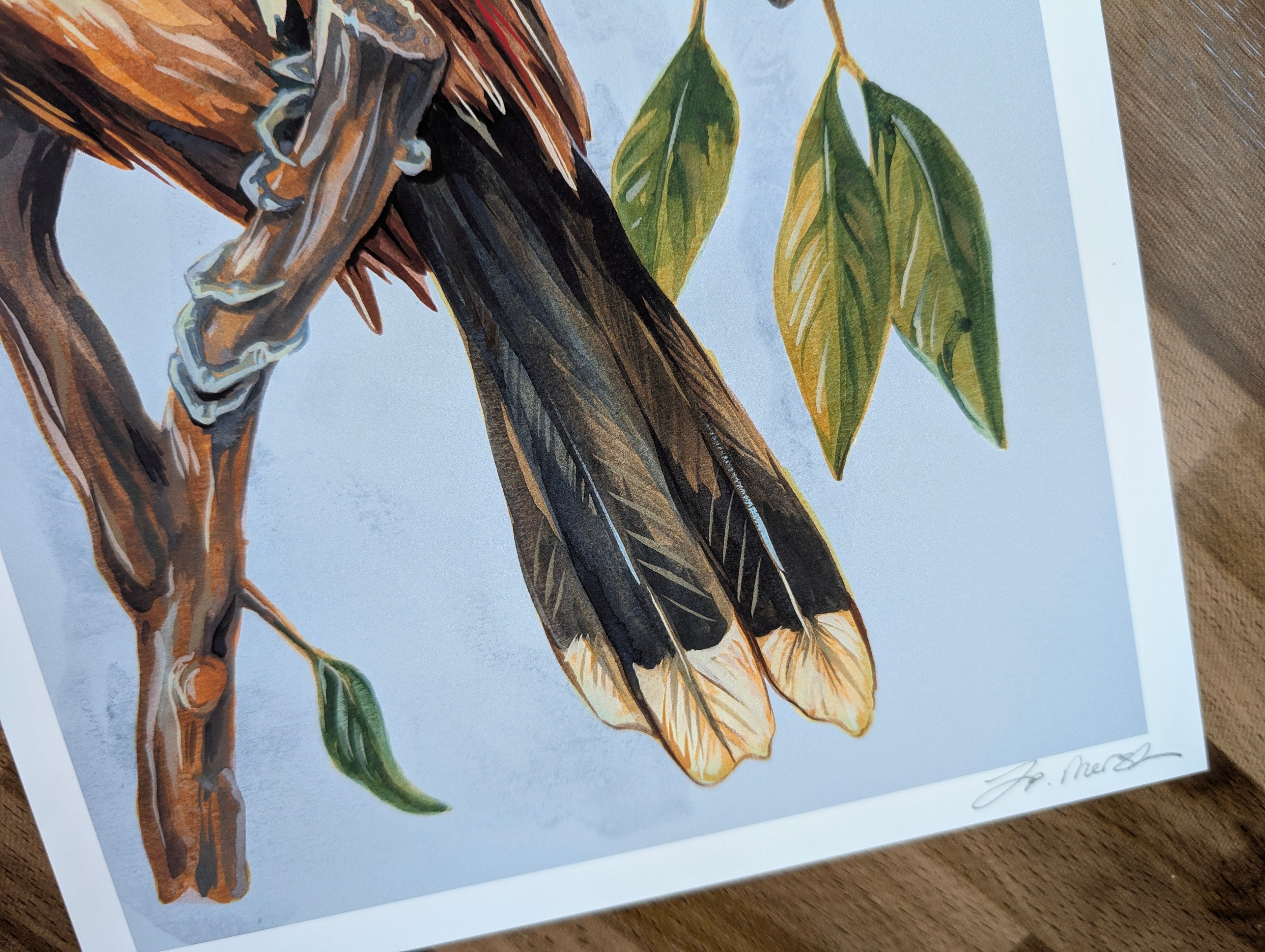 Hoatzin Mangrove Illustration, Skunk Bird Tree Frog Painting, Pastel Blue Beige Wall Art, Acrylic Gouache, A4 Print