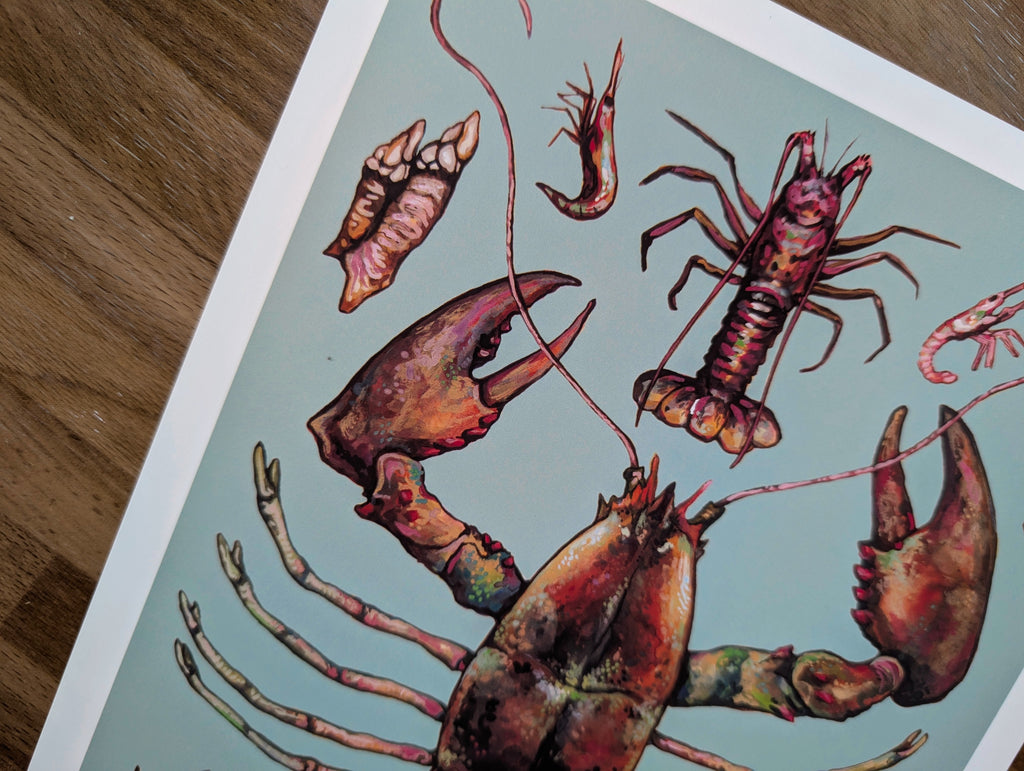 British Crustaceans Illustration, UK Lobster Crab Shrimp Seafood Painting, Coastal Seaside Décor, A4 Print