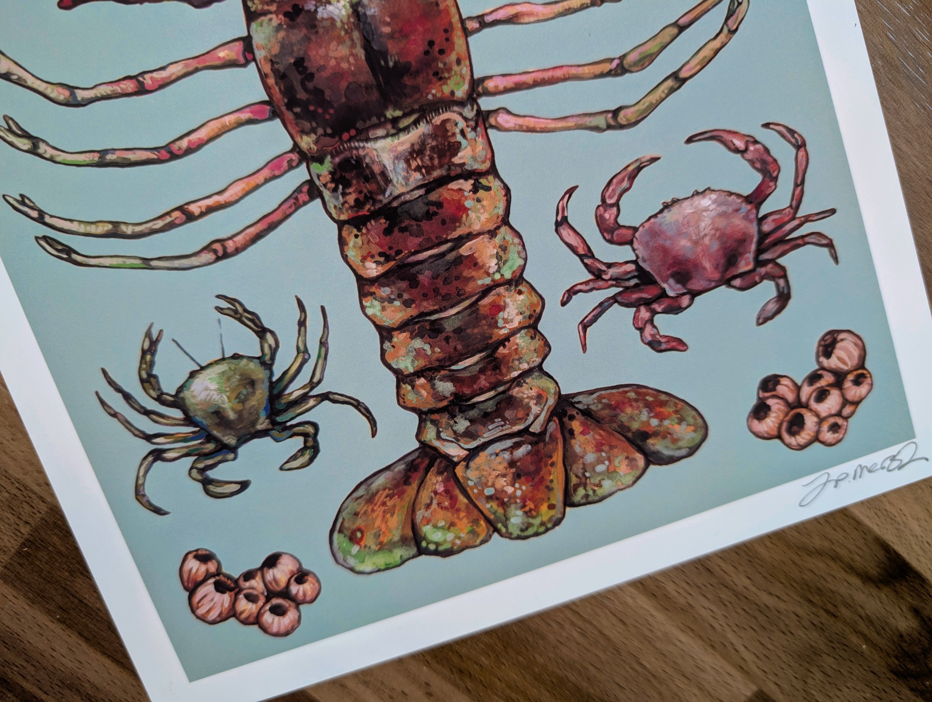 British Crustaceans Illustration, UK Lobster Crab Shrimp Seafood Painting, Coastal Seaside Décor, A4 Print
