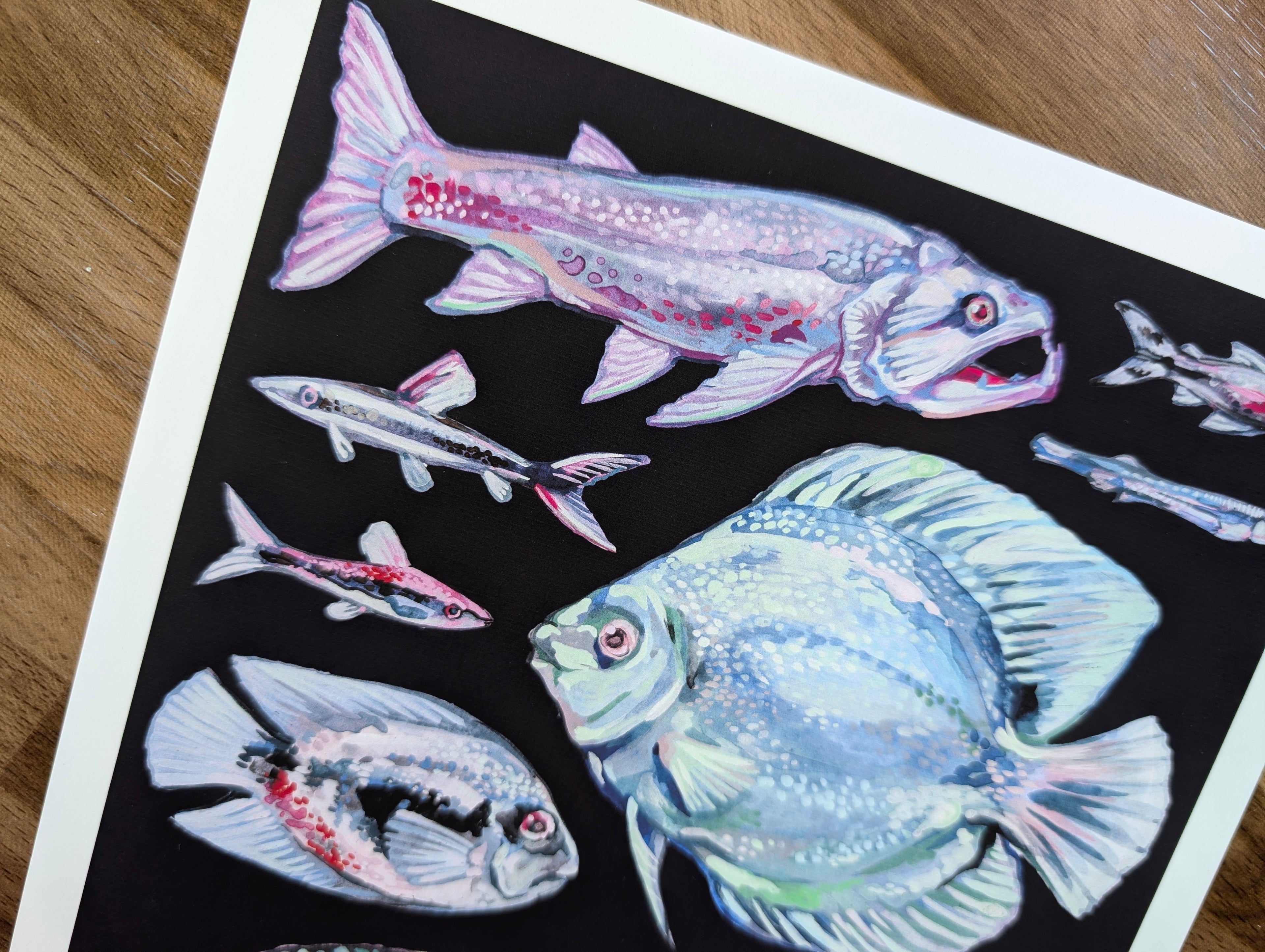 Amazon River Fish Illustration, Blue Aquatic Wildlife Wall Art, South American Amazonian Animals, A4 Print