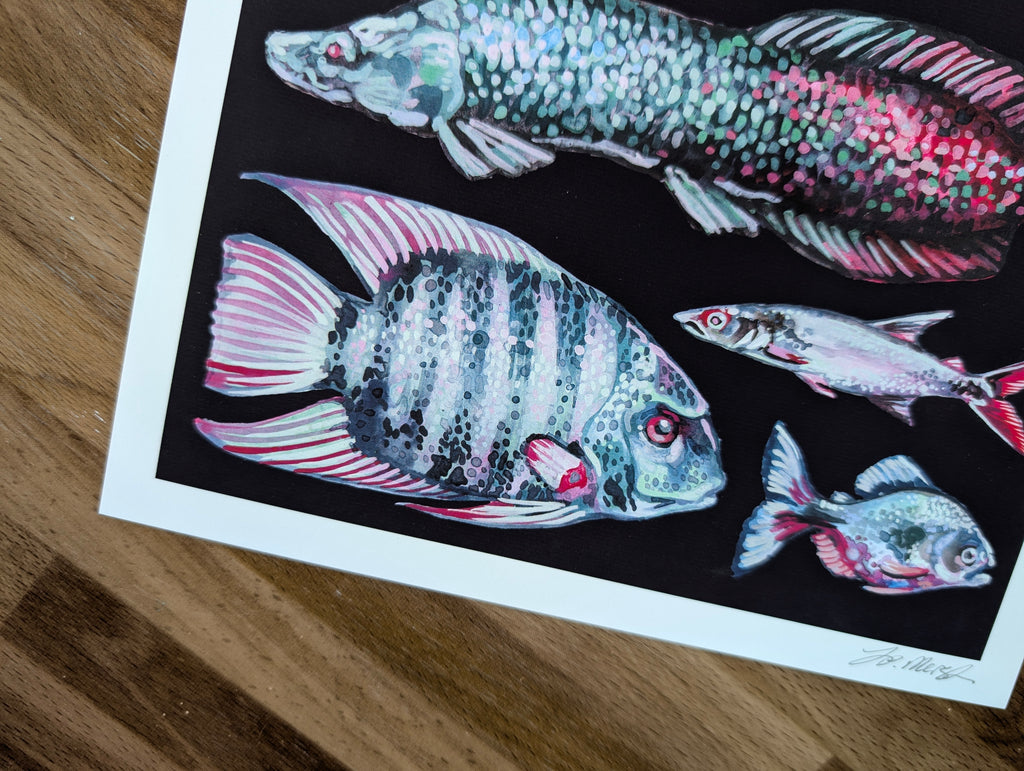 Amazon River Fish Illustration, Blue Aquatic Wildlife Wall Art, South American Amazonian Animals, A4 Print