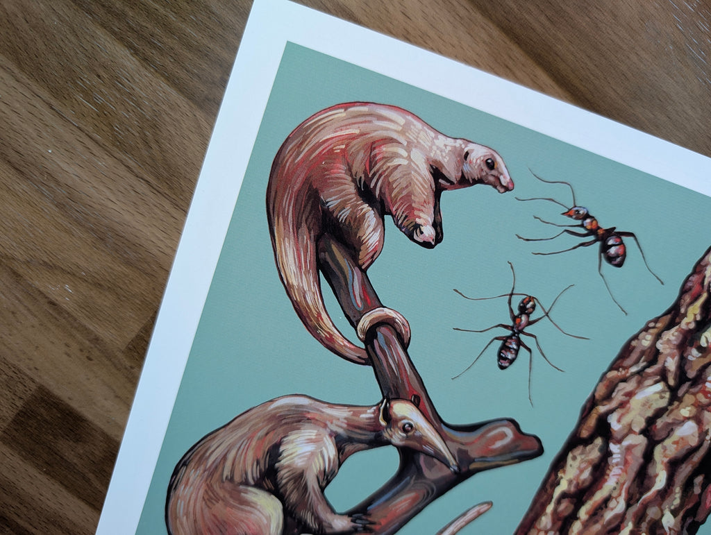 Anteater Species Illustration, Tamandua Silky Anteater Painting, Green Wildlife Nature Picture, Acrylic Gouache, A4 Print