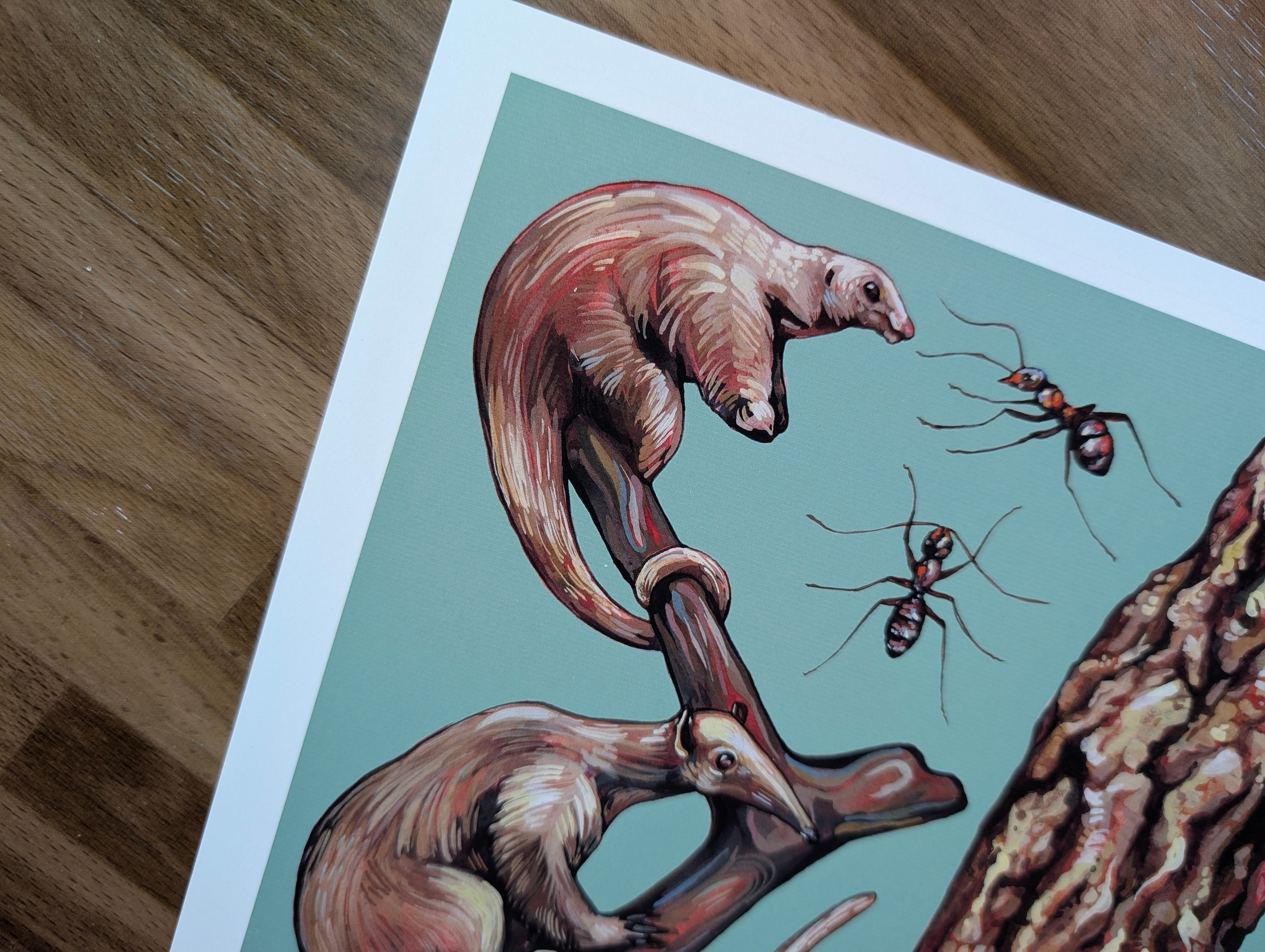 Anteater Species Illustration, Tamandua Silky Anteater Painting, Green Wildlife Nature Picture, Acrylic Gouache, A4 Print