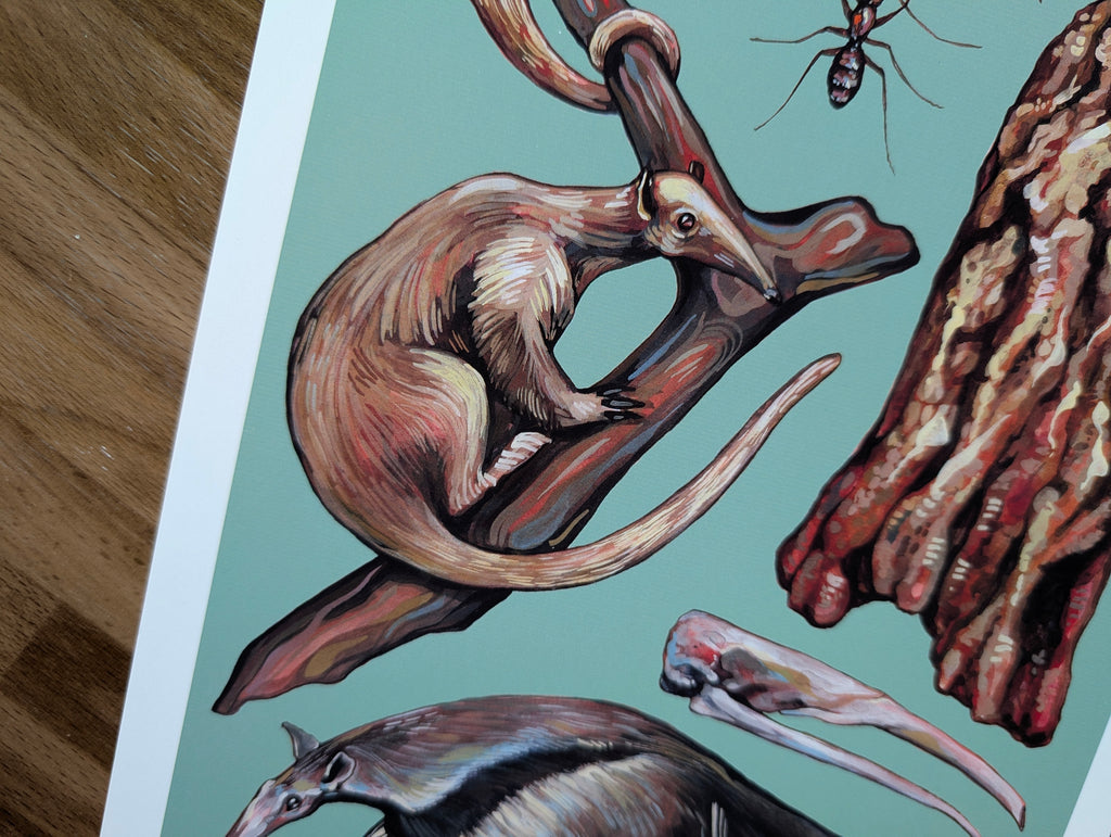 Anteater Species Illustration, Tamandua Silky Anteater Painting, Green Wildlife Nature Picture, Acrylic Gouache, A4 Print