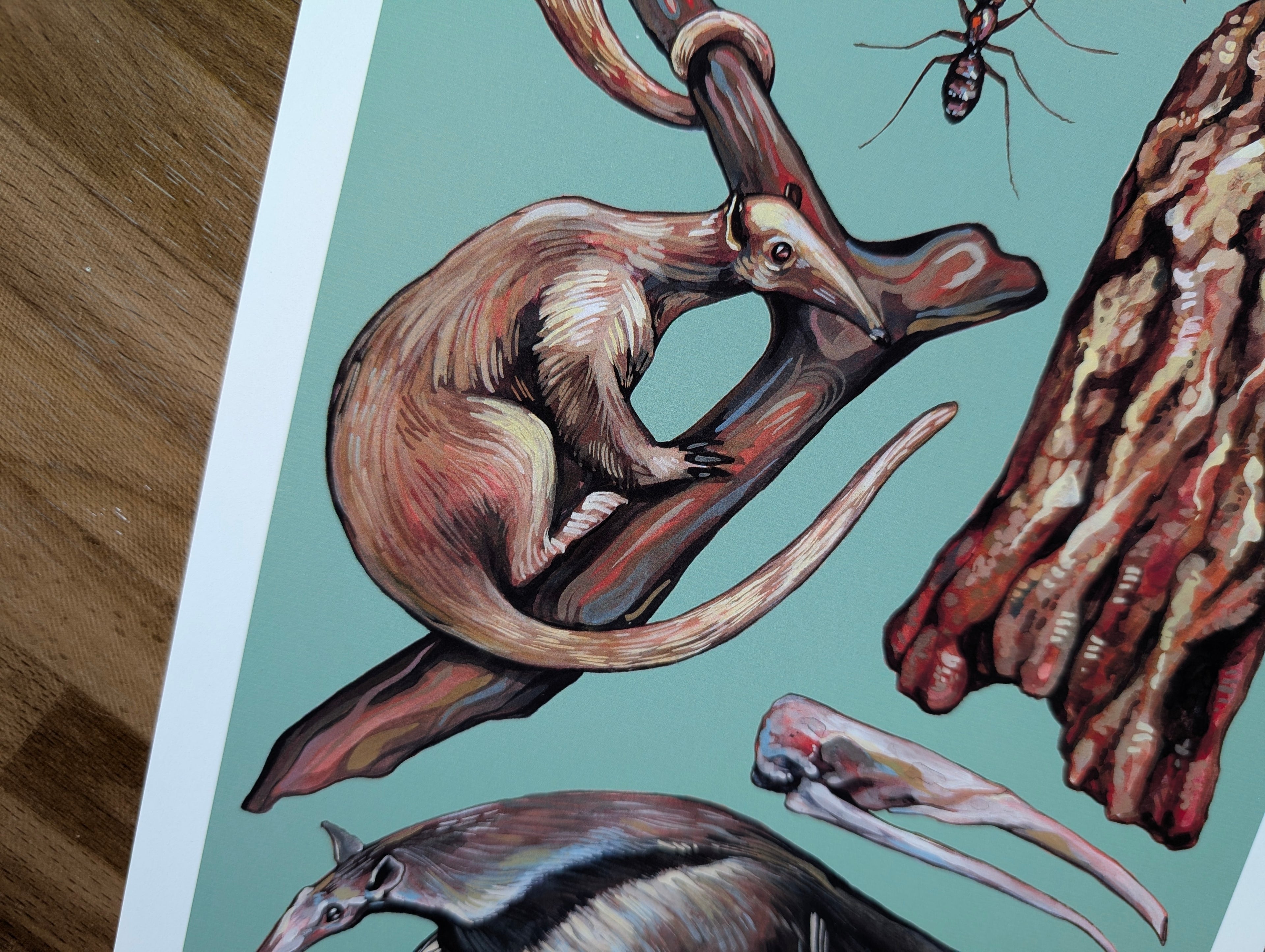 Anteater Species Illustration, Tamandua Silky Anteater Painting, Green Wildlife Nature Picture, Acrylic Gouache, A4 Print
