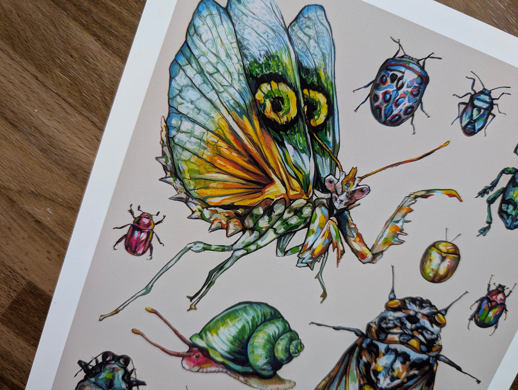 Entomology Insect Illustration, Cute Bug Beetle Mantis Painting, Weirdcore Pastel Wall Art, Acrylic Gouache, A4 Print
