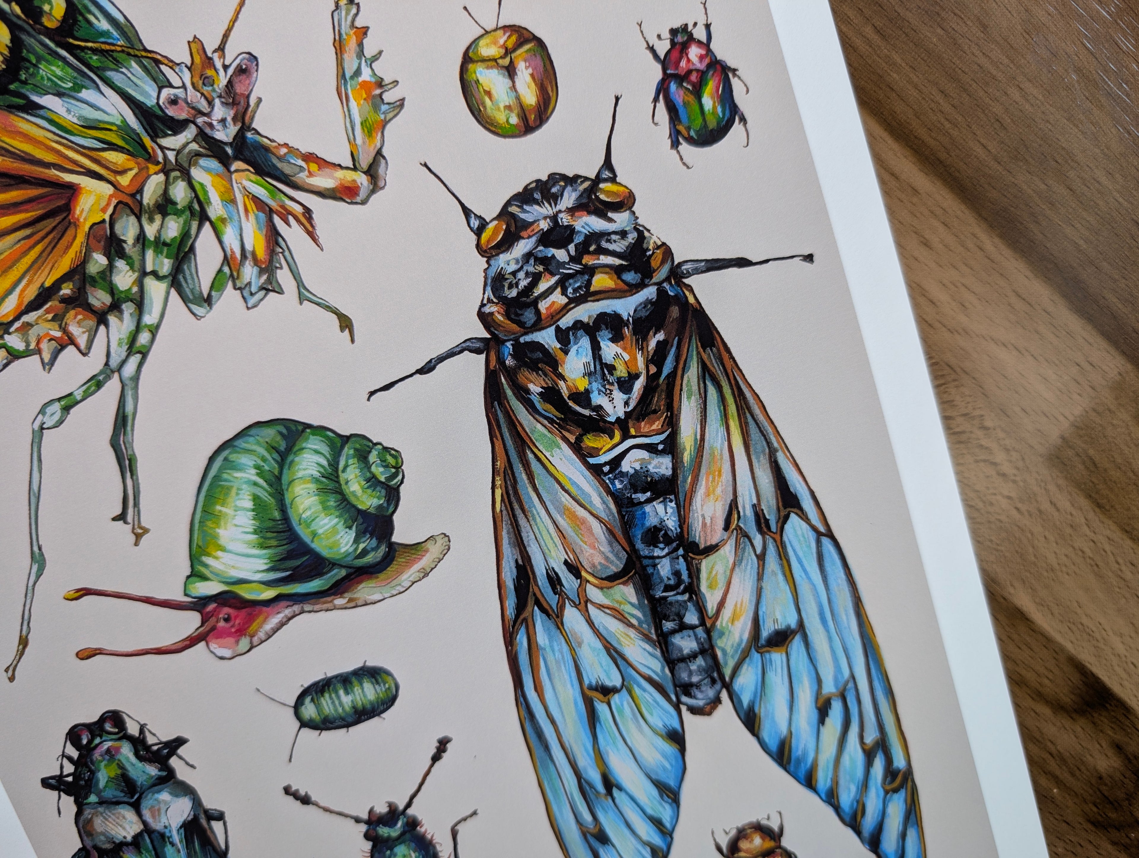 Entomology Insect Illustration, Cute Bug Beetle Mantis Painting, Weirdcore Pastel Wall Art, Acrylic Gouache, A4 Print