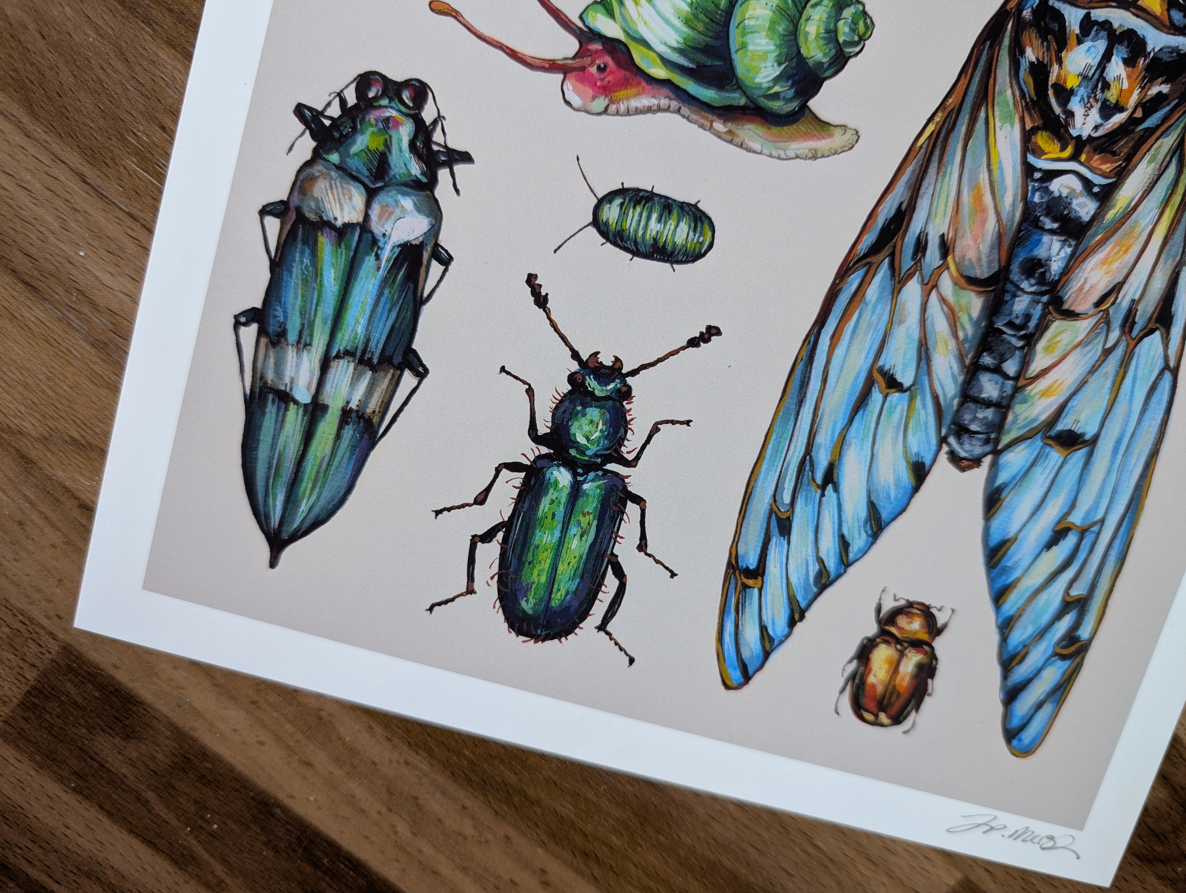 Entomology Insect Illustration, Cute Bug Beetle Mantis Painting, Weirdcore Pastel Wall Art, Acrylic Gouache, A4 Print