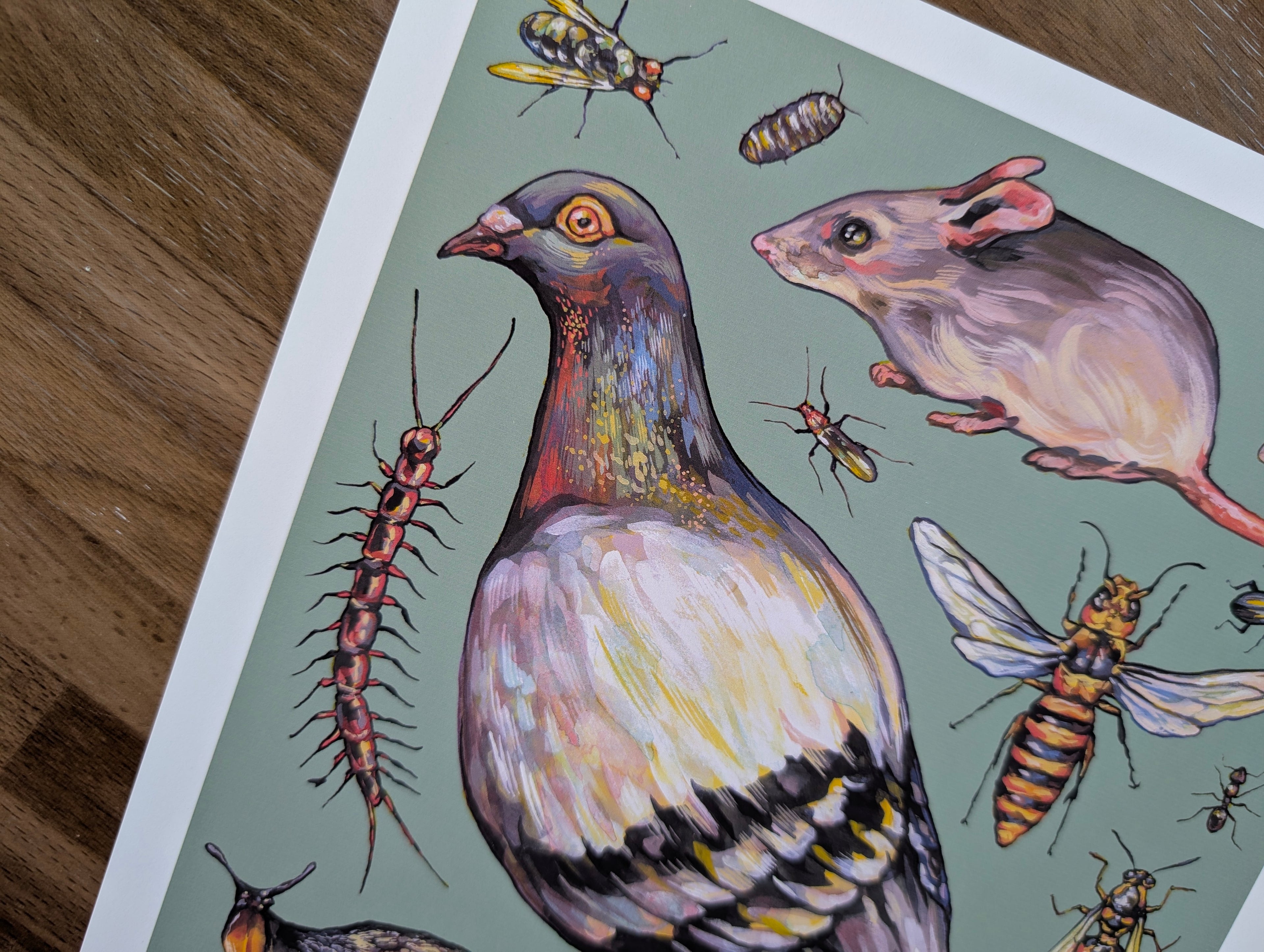Vermin Illustration, Pigeon Artwork, Rat Mouse Insect Painting, Goblincore Art, Household Pest Home Décor, A4 Print